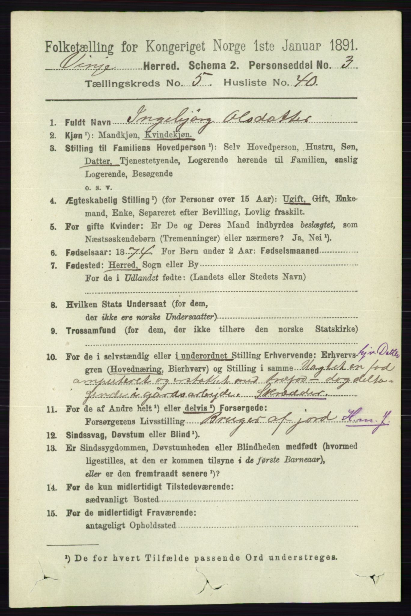 RA, 1891 census for 0834 Vinje, 1891, p. 1351