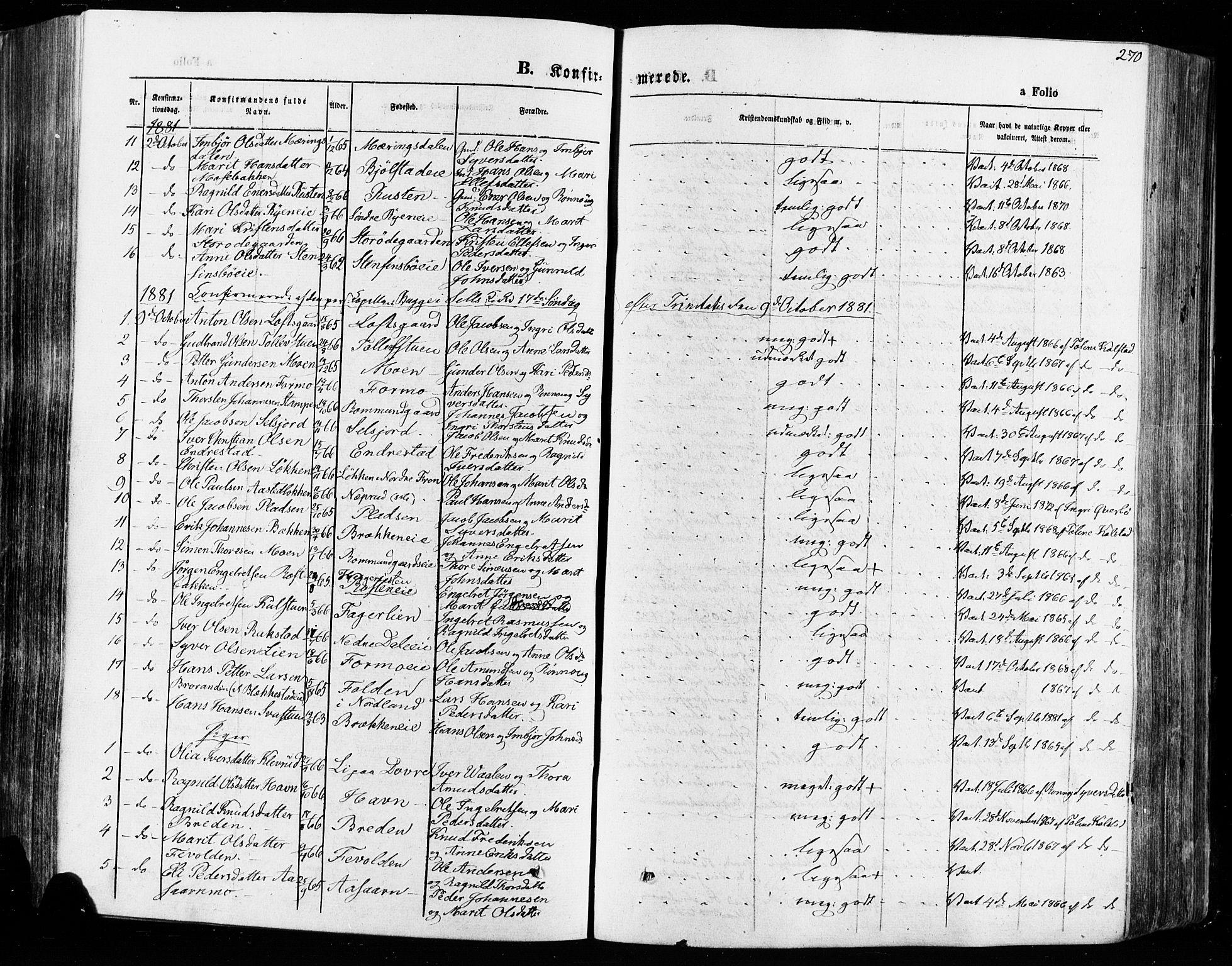 Vågå prestekontor, SAH/PREST-076/H/Ha/Haa/L0007: Parish register (official) no. 7 /1, 1872-1886, p. 270