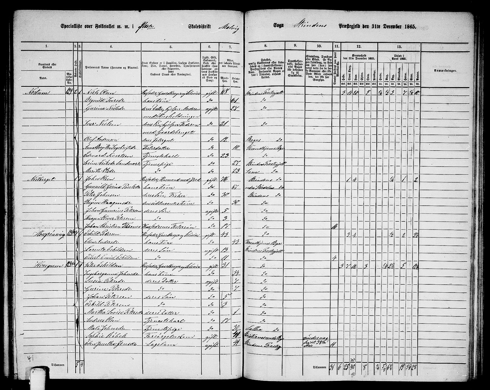 RA, 1865 census for Strinda, 1865, p. 199