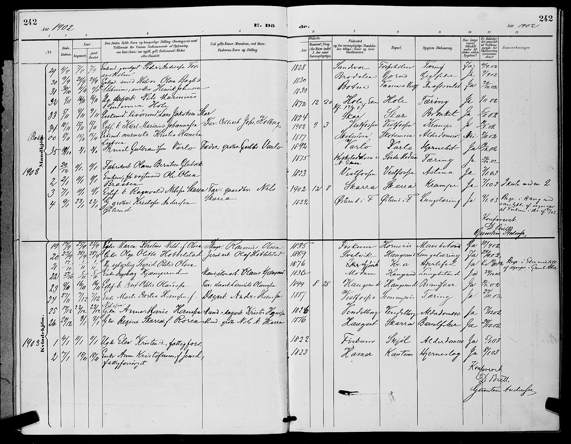 Eiker kirkebøker, SAKO/A-4/G/Ga/L0007: Parish register (copy) no. I 7, 1893-1902, p. 242