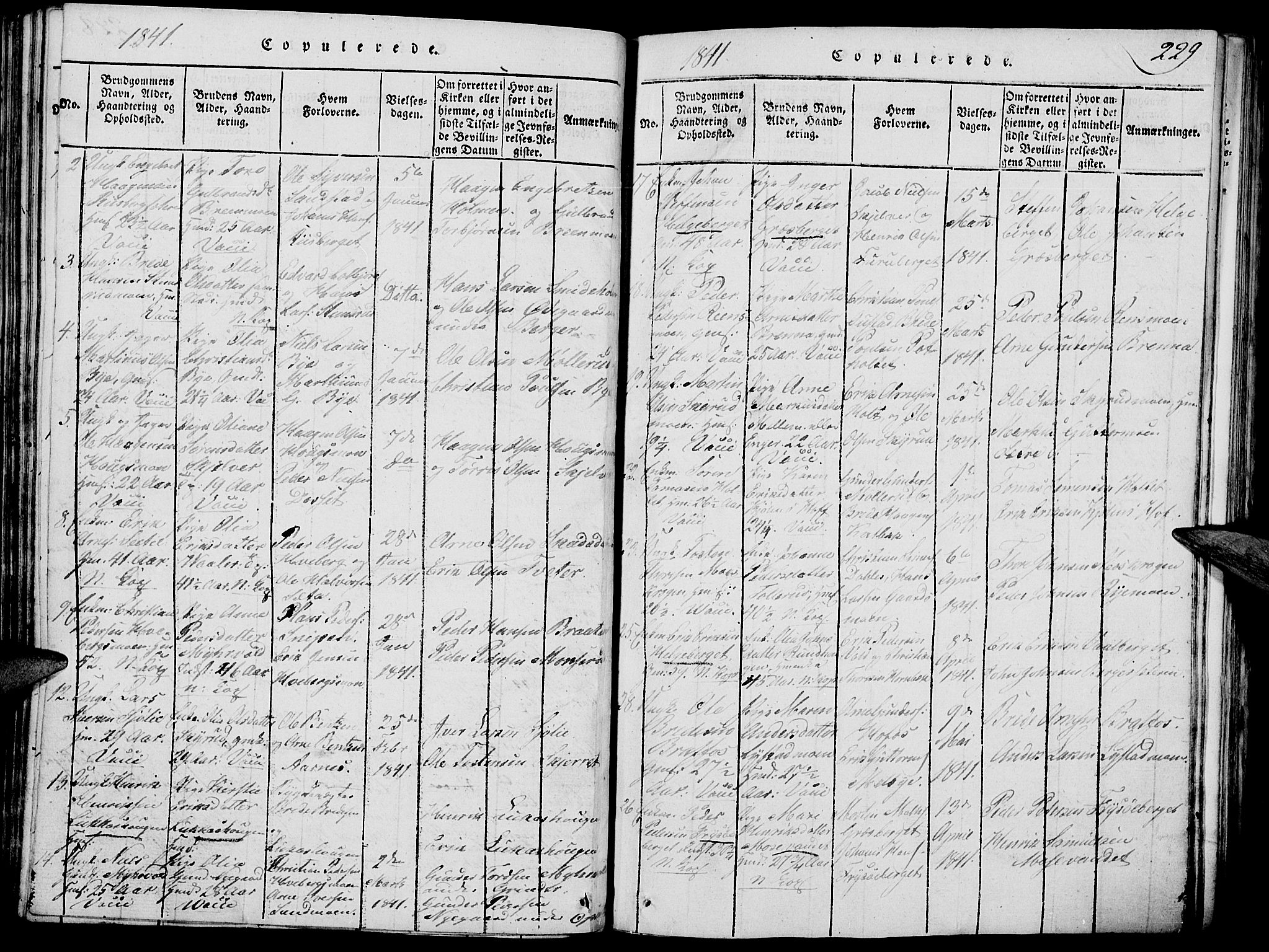 Grue prestekontor, SAH/PREST-036/H/Ha/Hab/L0002: Parish register (copy) no. 2, 1815-1841, p. 229
