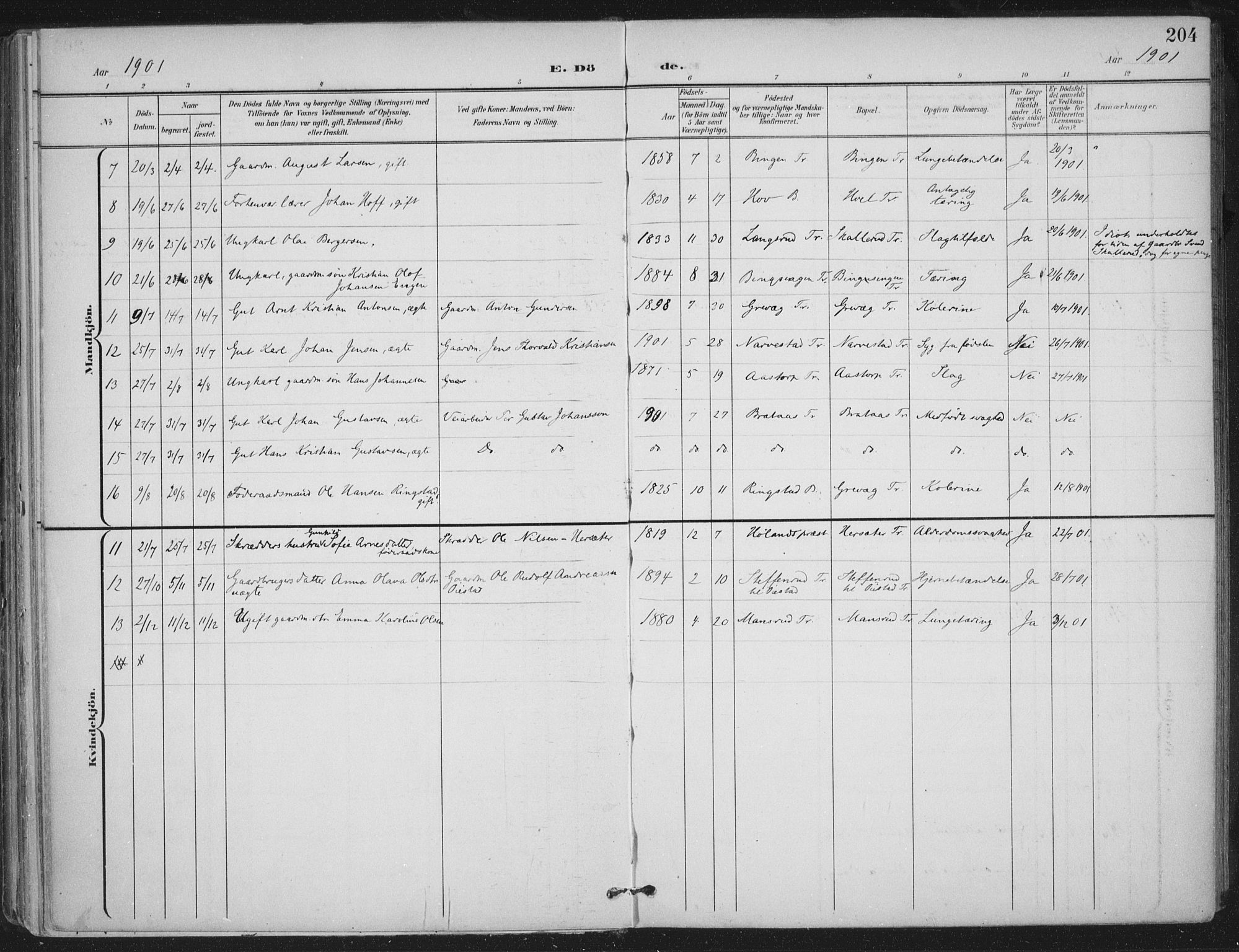 Trøgstad prestekontor Kirkebøker, AV/SAO-A-10925/F/Fa/L0011: Parish register (official) no. I 11, 1899-1919, p. 204