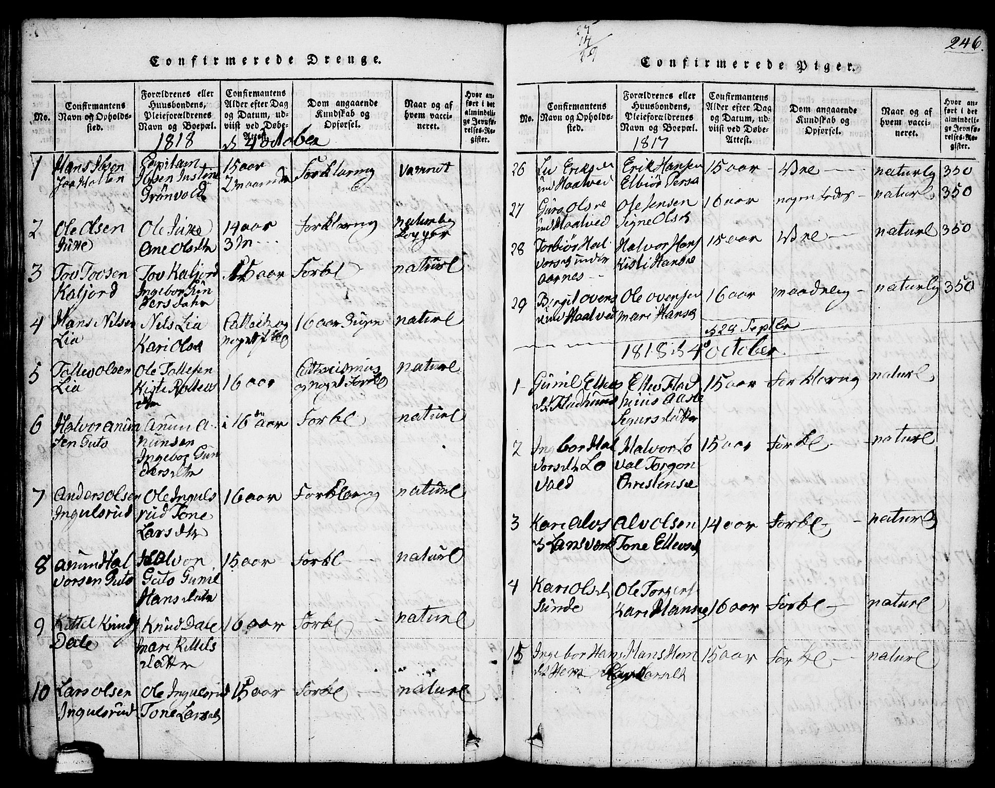 Sauherad kirkebøker, SAKO/A-298/G/Ga/L0001: Parish register (copy) no. I 1, 1815-1827, p. 246
