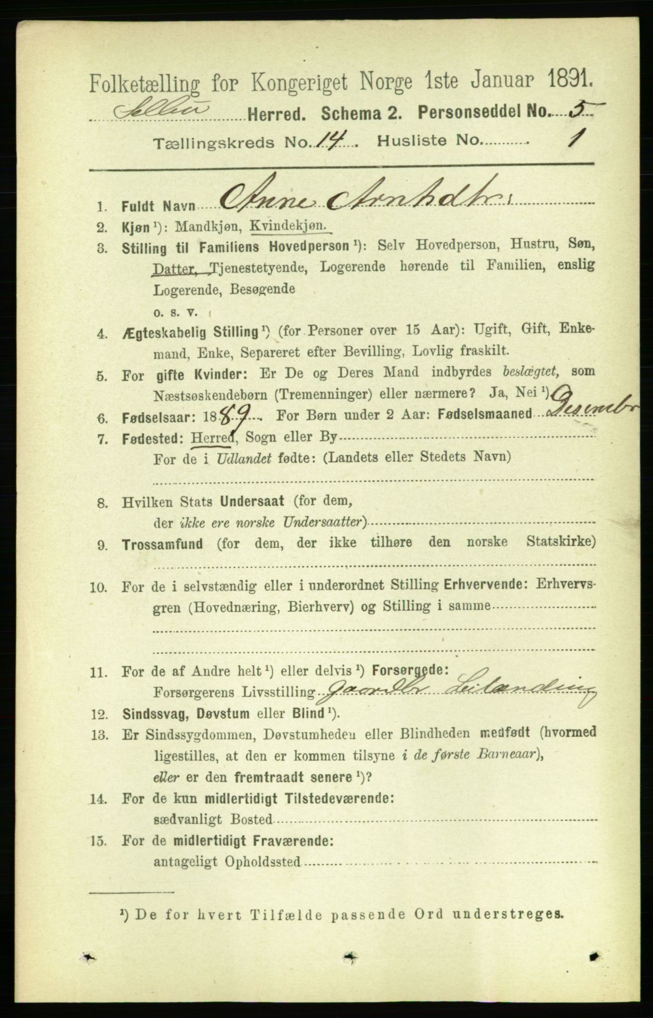 RA, 1891 census for 1664 Selbu, 1891, p. 5084