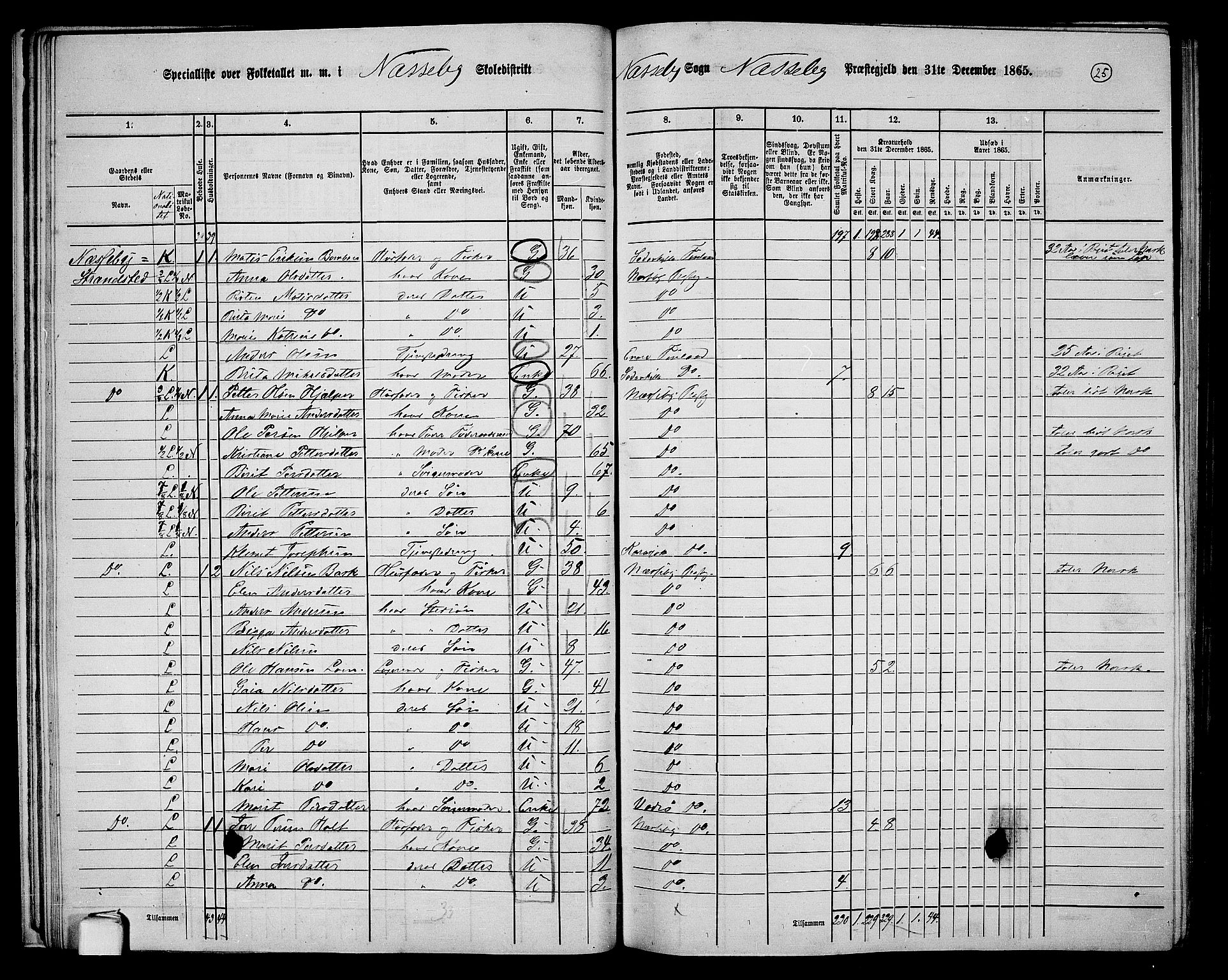 RA, 1865 census for Nesseby, 1865, p. 21