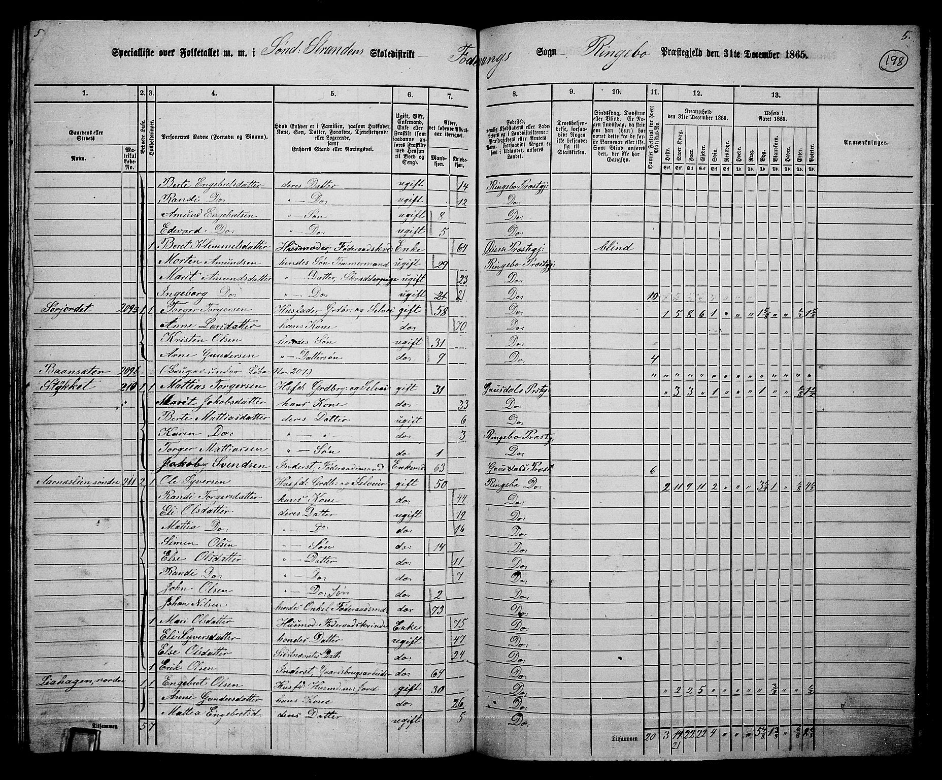 RA, 1865 census for Ringebu, 1865, p. 171