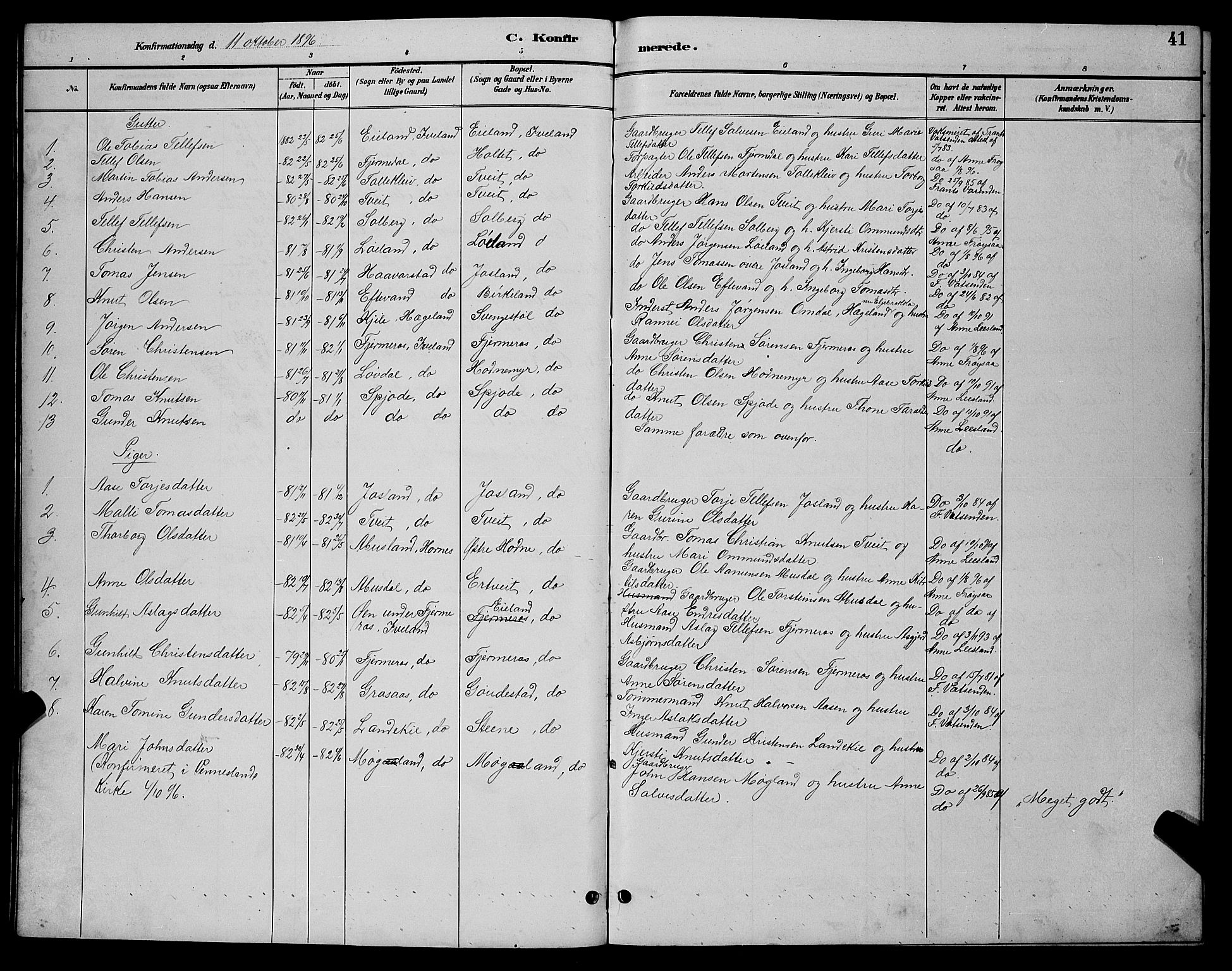 Evje sokneprestkontor, AV/SAK-1111-0008/F/Fb/Fbc/L0004: Parish register (copy) no. B 4, 1890-1900, p. 41