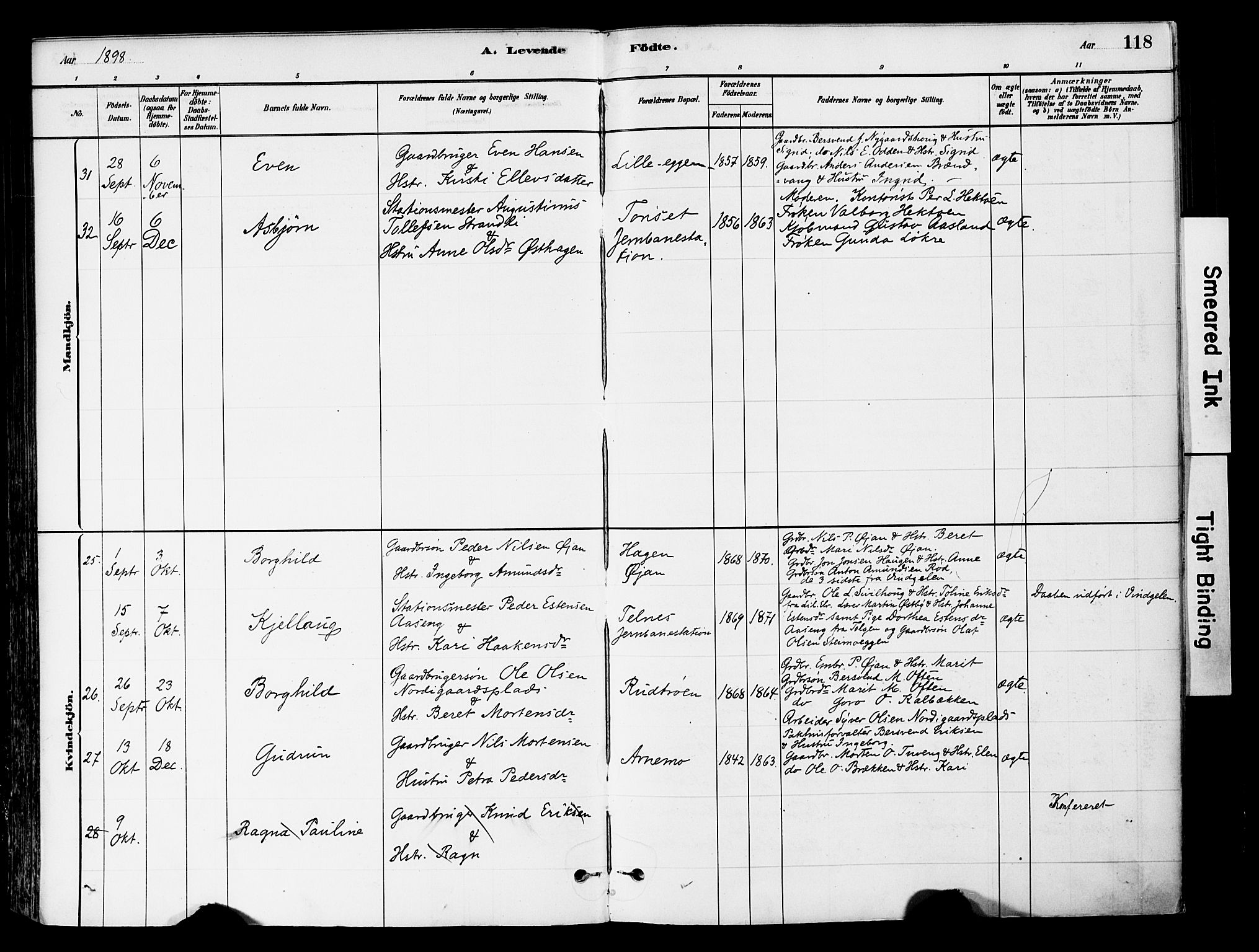Tynset prestekontor, SAH/PREST-058/H/Ha/Haa/L0022: Parish register (official) no. 22, 1880-1899, p. 118