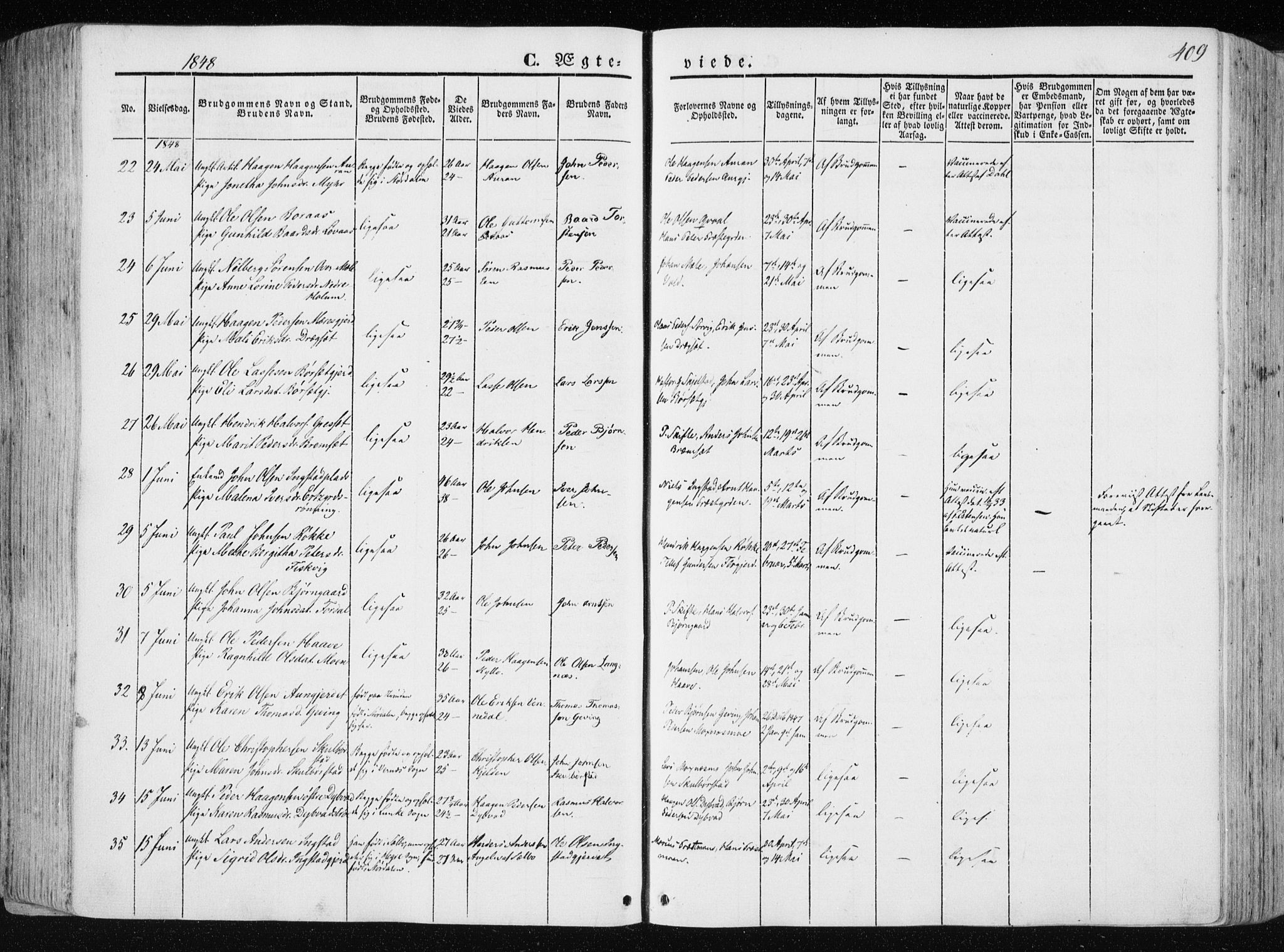 Ministerialprotokoller, klokkerbøker og fødselsregistre - Nord-Trøndelag, SAT/A-1458/709/L0074: Parish register (official) no. 709A14, 1845-1858, p. 409