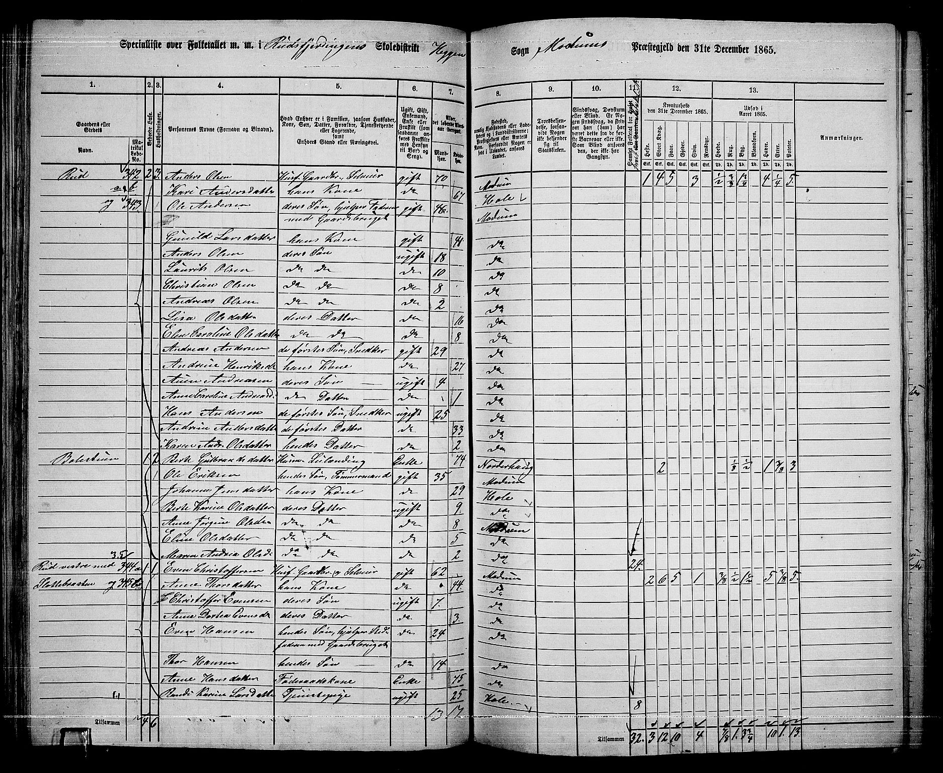 RA, 1865 census for Modum, 1865, p. 123