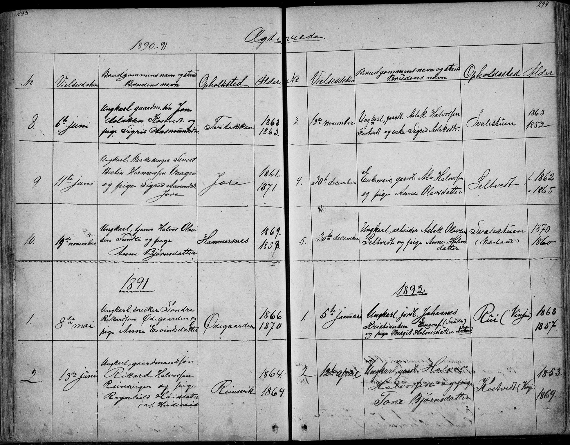 Rauland kirkebøker, SAKO/A-292/G/Ga/L0002: Parish register (copy) no. I 2, 1849-1935, p. 293-294