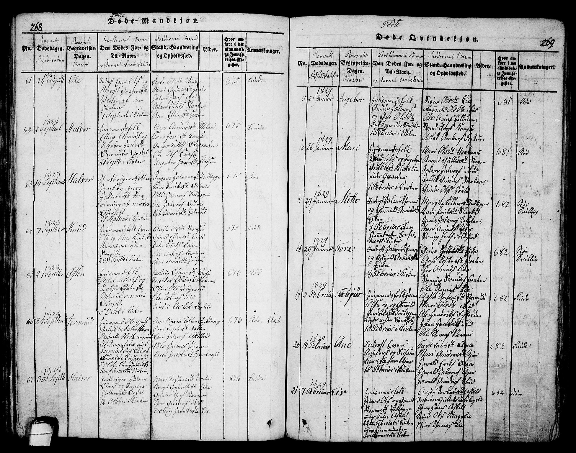 Bø kirkebøker, AV/SAKO-A-257/G/Ga/L0001: Parish register (copy) no. 1, 1815-1831, p. 268-269