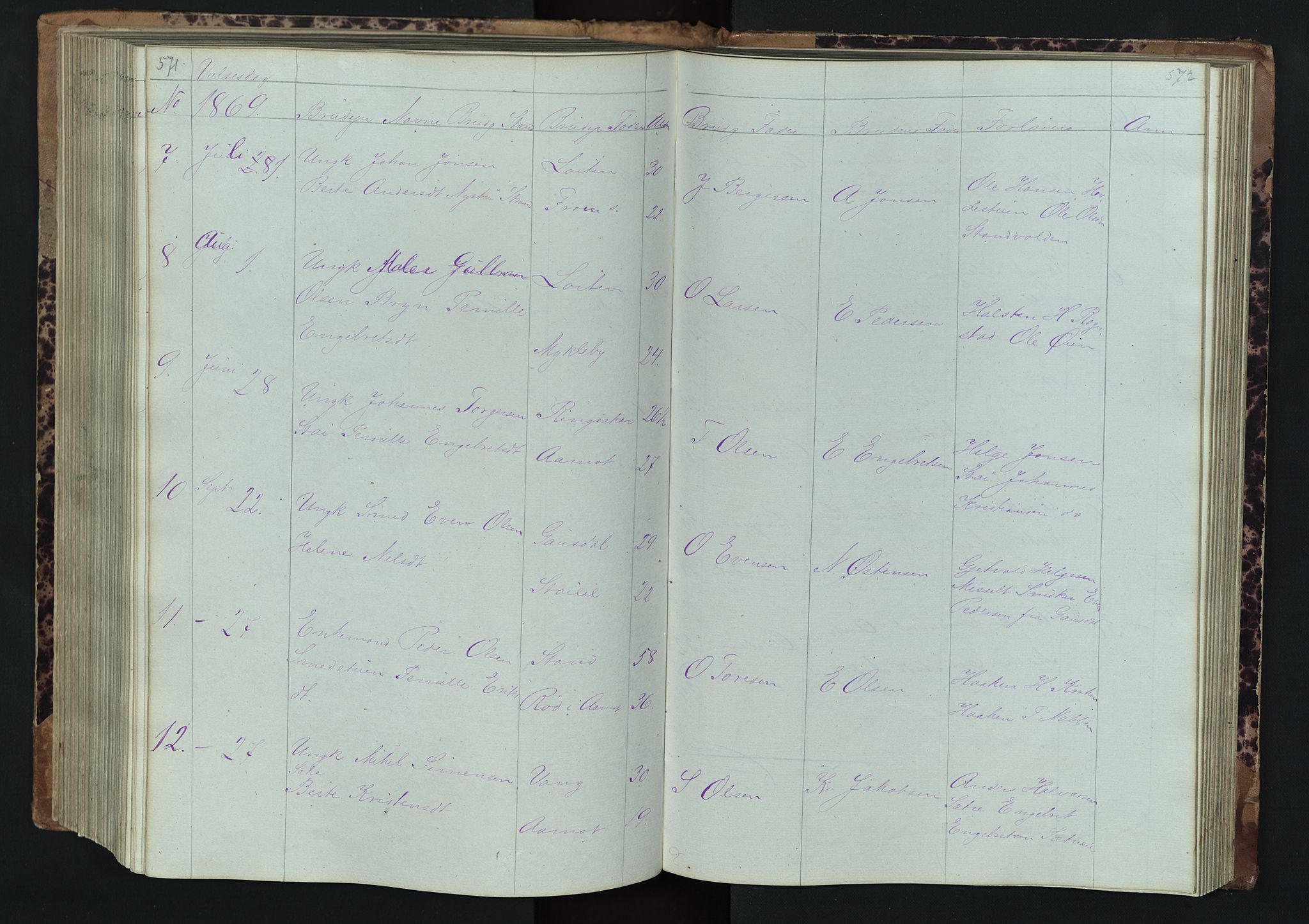 Stor-Elvdal prestekontor, AV/SAH-PREST-052/H/Ha/Hab/L0001: Parish register (copy) no. 1 /1, 1860-1894, p. 571-572