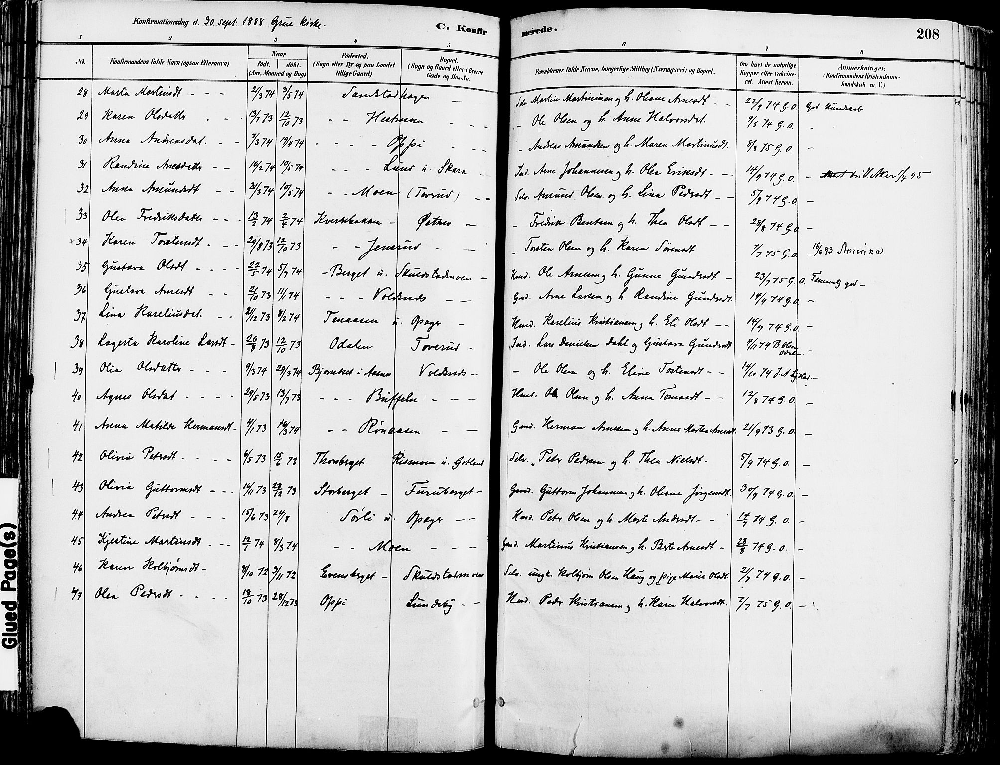 Grue prestekontor, AV/SAH-PREST-036/H/Ha/Haa/L0012: Parish register (official) no. 12, 1881-1897, p. 208