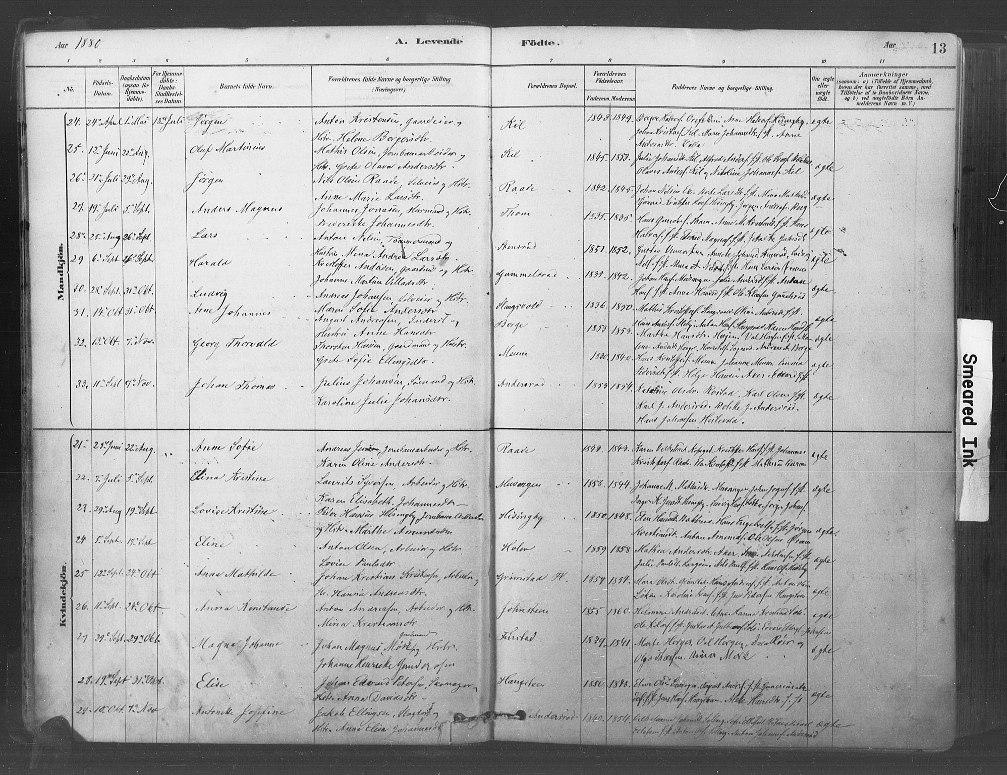 Råde prestekontor kirkebøker, AV/SAO-A-2009/F/Fa/L0007: Parish register (official) no. 7, 1878-1902, p. 13