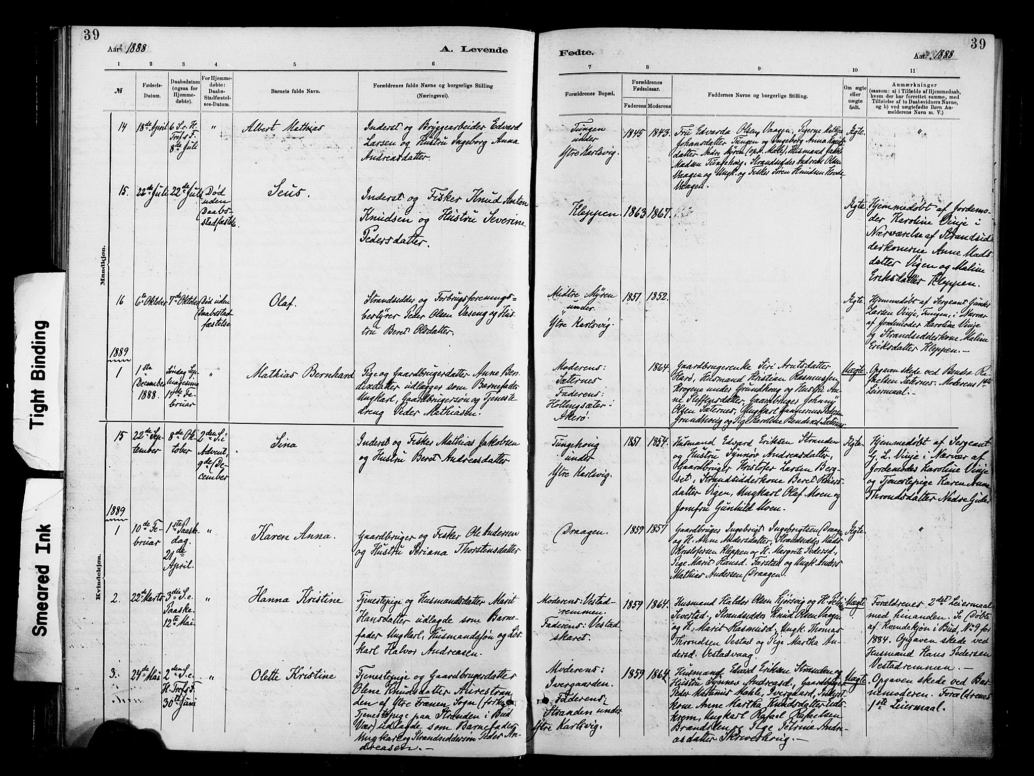 Ministerialprotokoller, klokkerbøker og fødselsregistre - Møre og Romsdal, SAT/A-1454/566/L0769: Parish register (official) no. 566A08, 1881-1903, p. 39