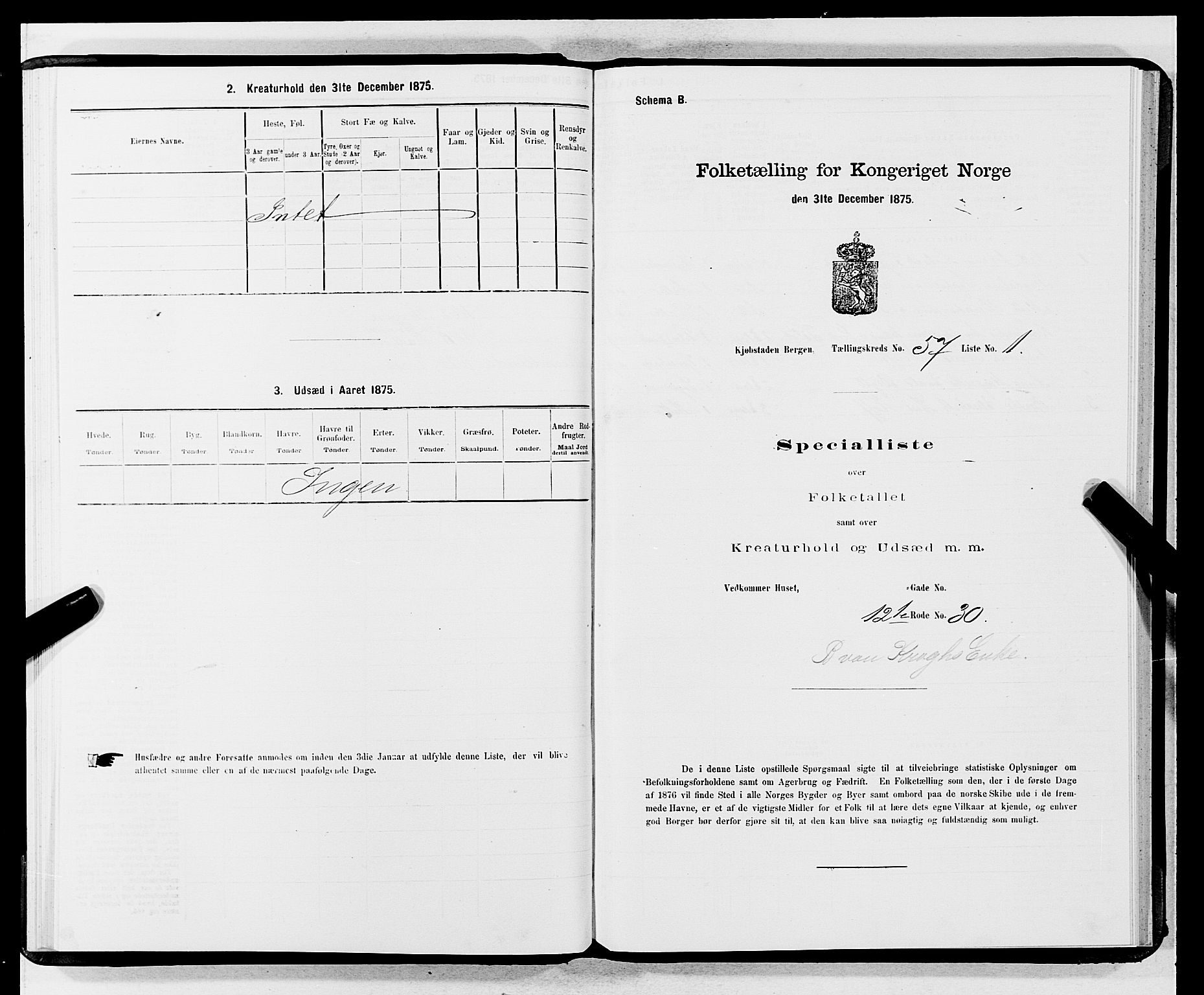 SAB, 1875 census for 1301 Bergen, 1875, p. 3008