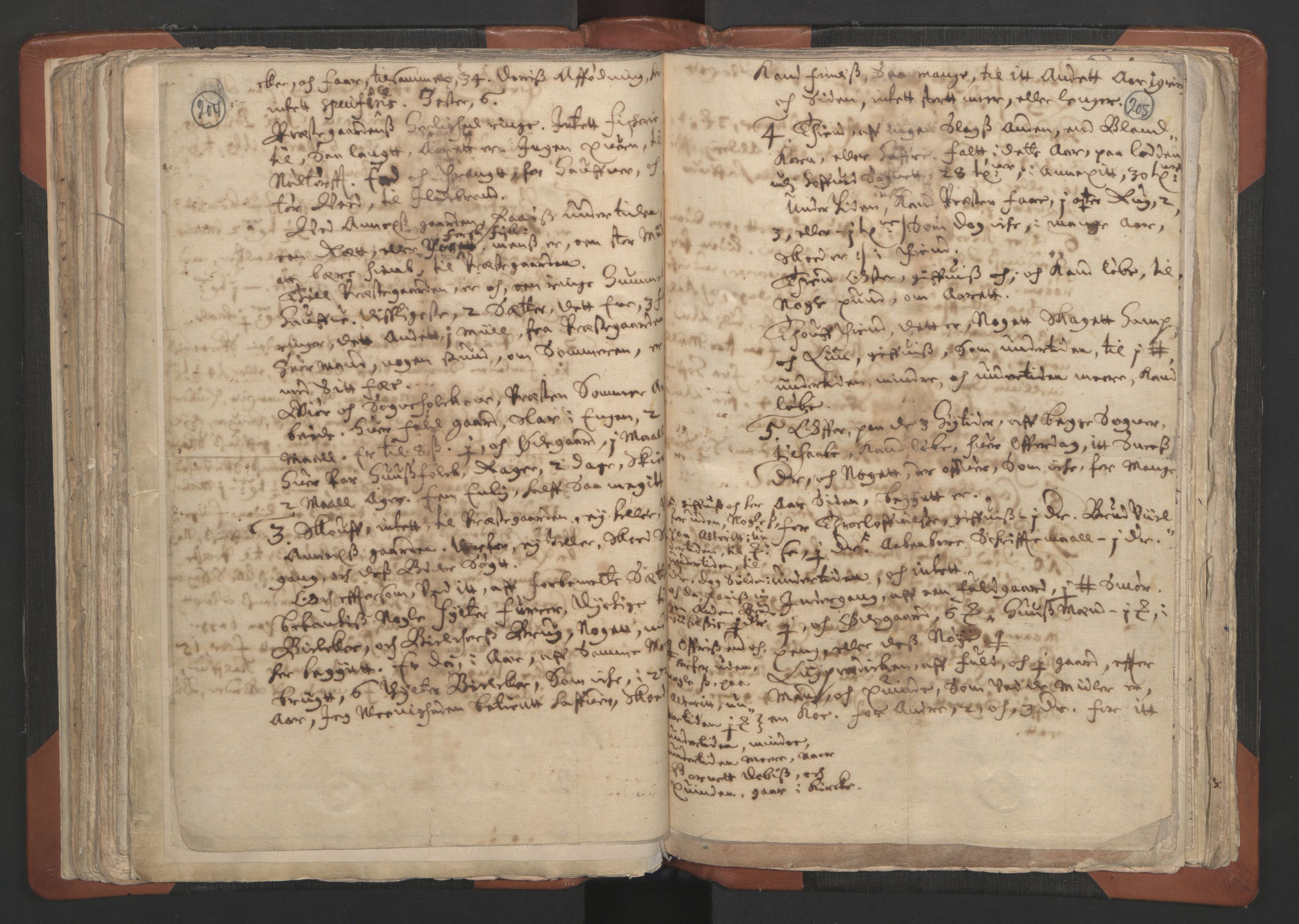 RA, Vicar's Census 1664-1666, no. 12: Øvre Telemark deanery, Nedre Telemark deanery and Bamble deanery, 1664-1666, p. 204-205