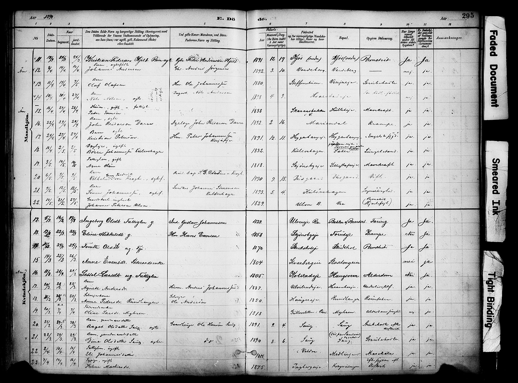 Ringsaker prestekontor, AV/SAH-PREST-014/K/Ka/L0017: Parish register (official) no. 17, 1891-1902, p. 295