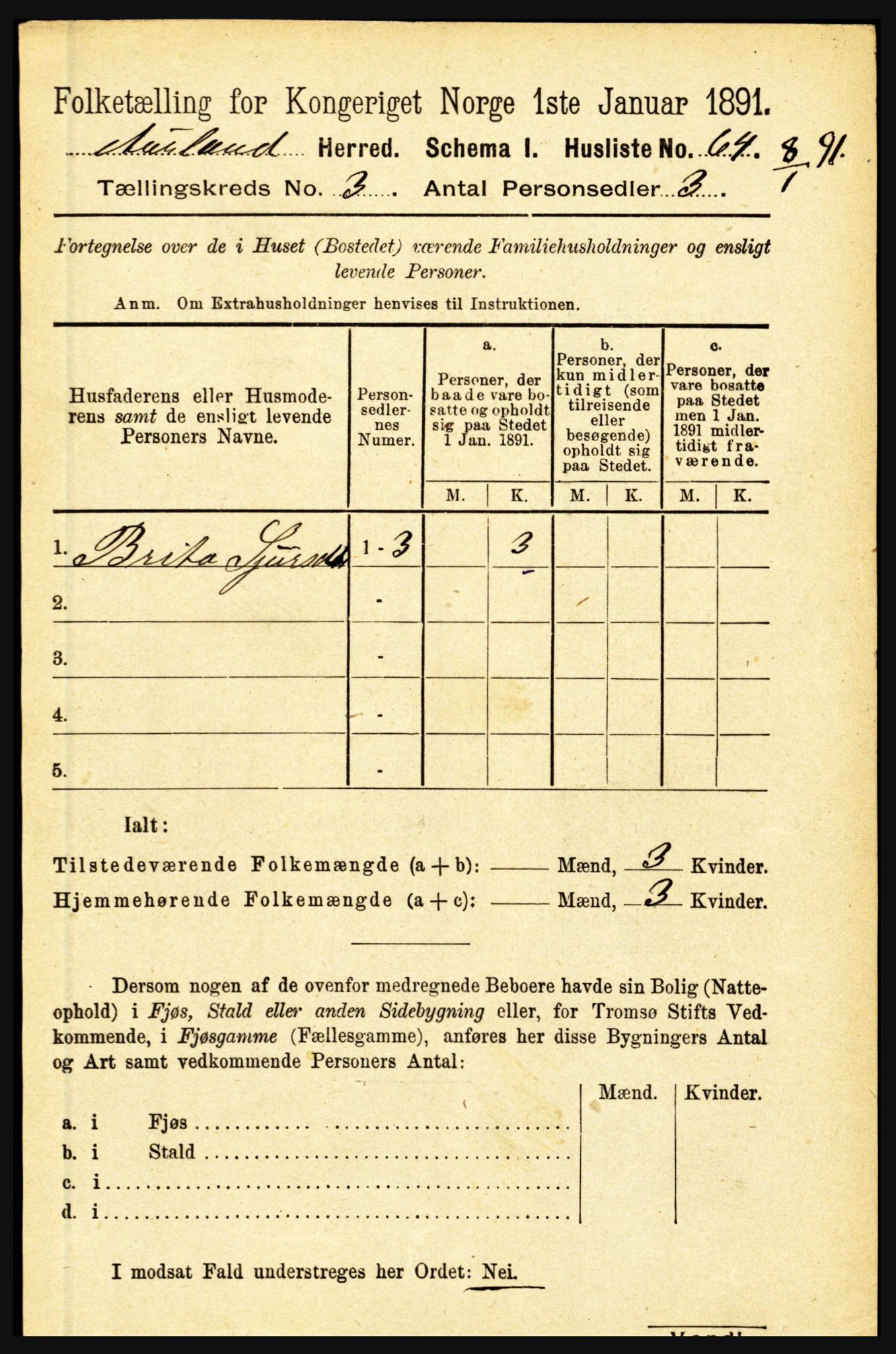 RA, 1891 census for 1421 Aurland, 1891, p. 940
