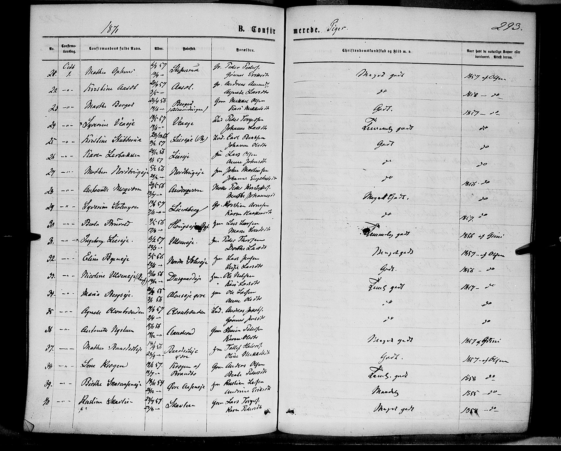 Ringsaker prestekontor, AV/SAH-PREST-014/K/Ka/L0011: Parish register (official) no. 11, 1870-1878, p. 293