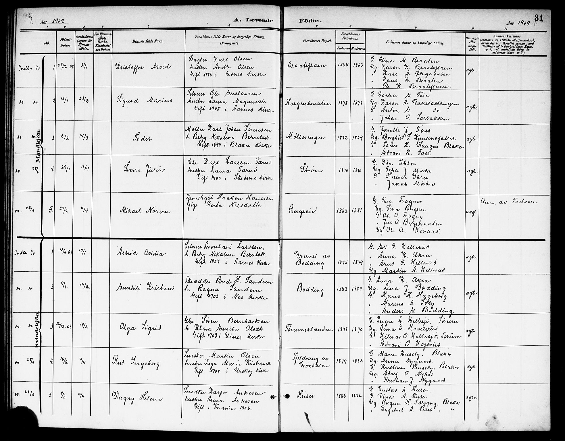 Nes prestekontor Kirkebøker, AV/SAO-A-10410/G/Gb/L0001: Parish register (copy) no. II 1, 1901-1917, p. 31