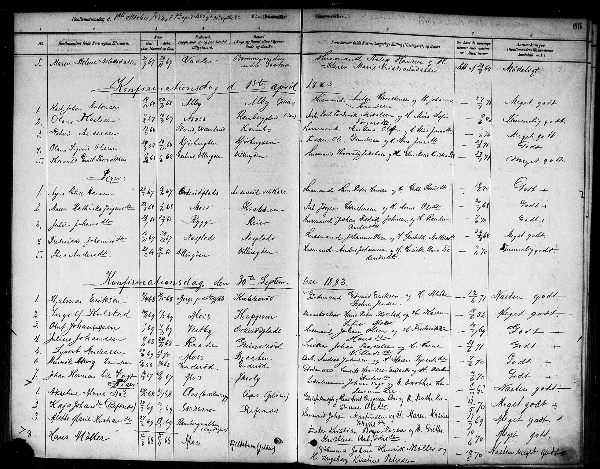 Moss prestekontor Kirkebøker, AV/SAO-A-2003/F/Fc/L0001: Parish register (official) no. III 1, 1878-1894, p. 65