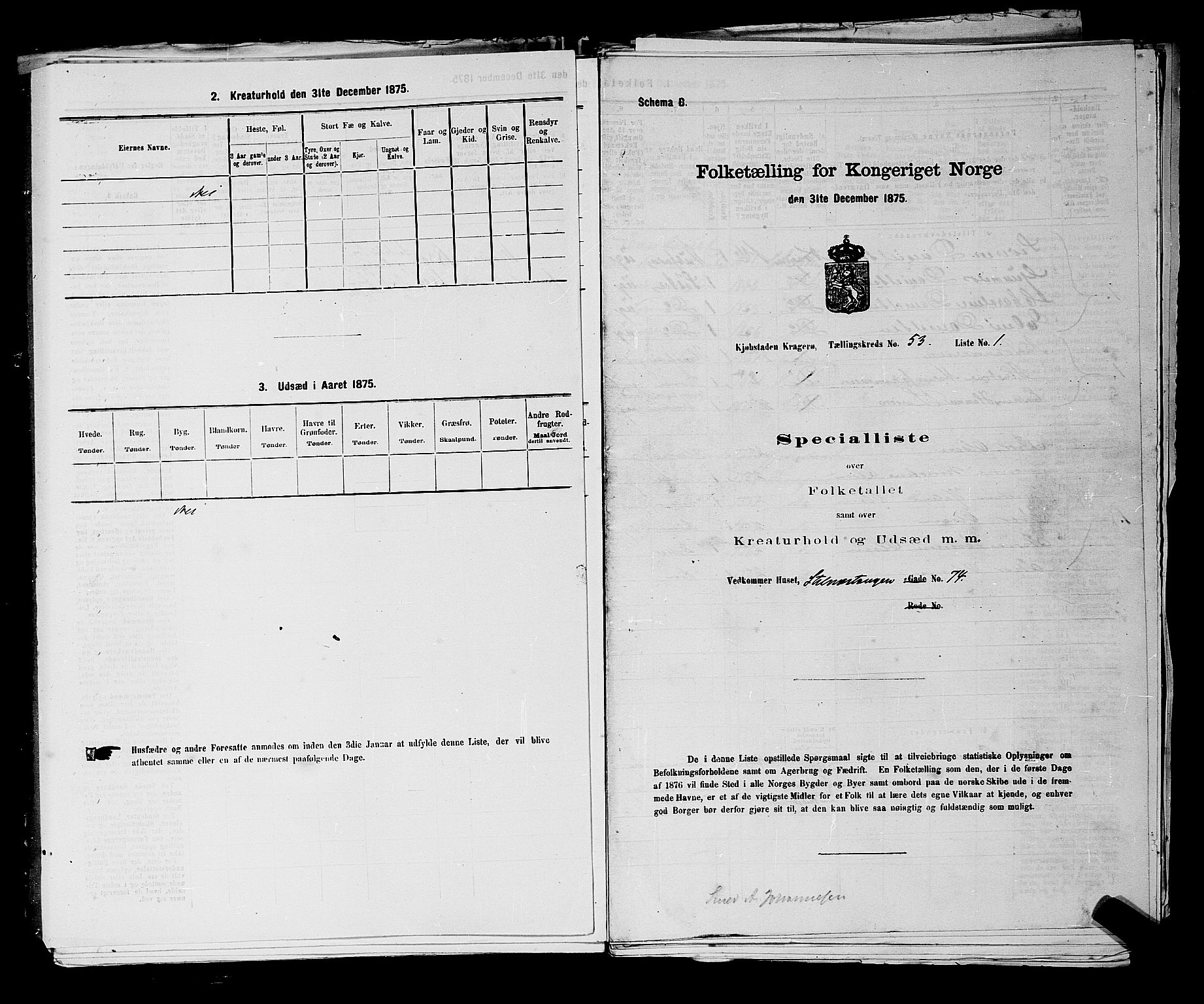 SAKO, 1875 census for 0801P Kragerø, 1875, p. 1164