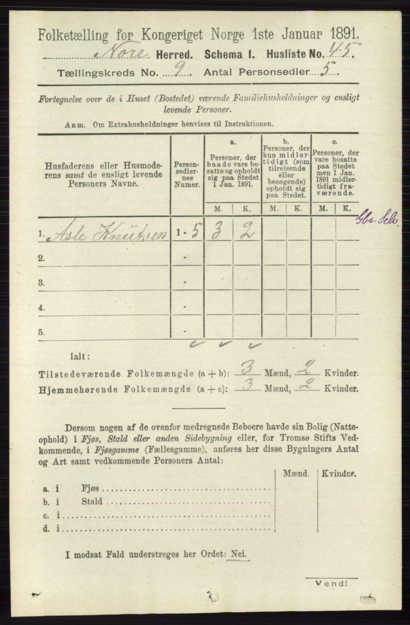 RA, 1891 census for 0633 Nore, 1891, p. 3199