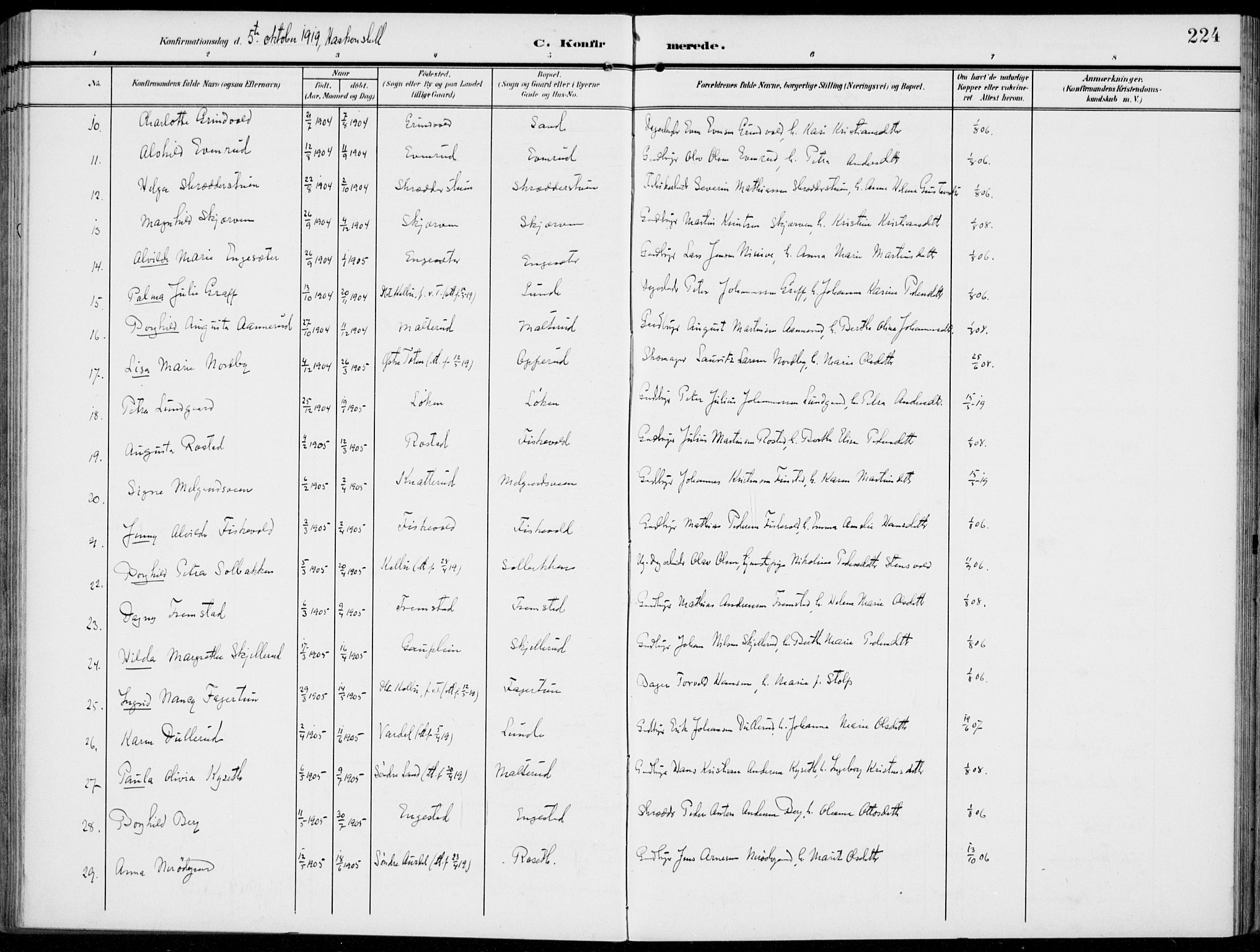 Vestre Toten prestekontor, AV/SAH-PREST-108/H/Ha/Haa/L0014: Parish register (official) no. 14, 1907-1920, p. 224