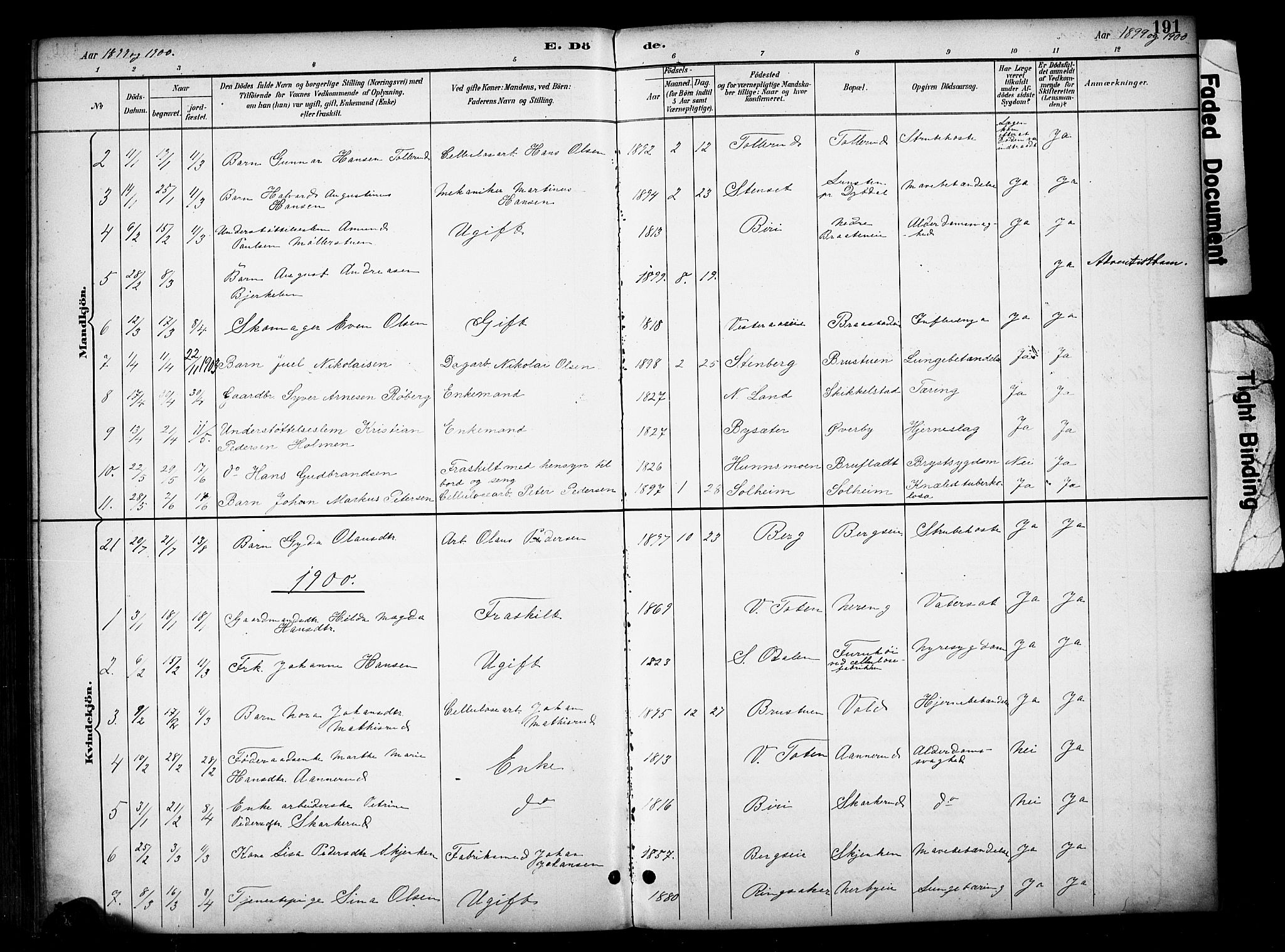 Vardal prestekontor, SAH/PREST-100/H/Ha/Haa/L0012: Parish register (official) no. 12, 1893-1904, p. 191