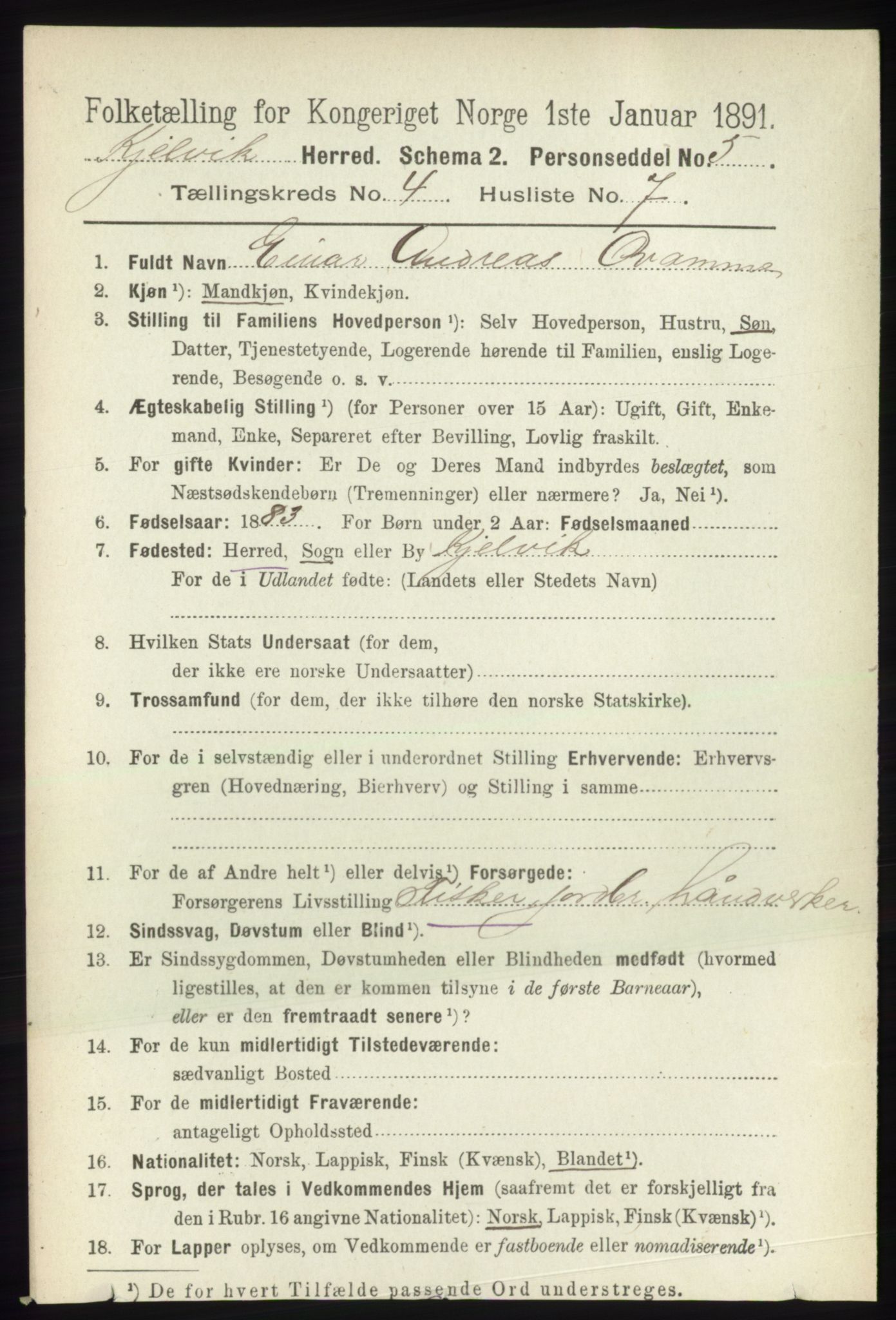 RA, 1891 census for 2019 Kjelvik, 1891, p. 462