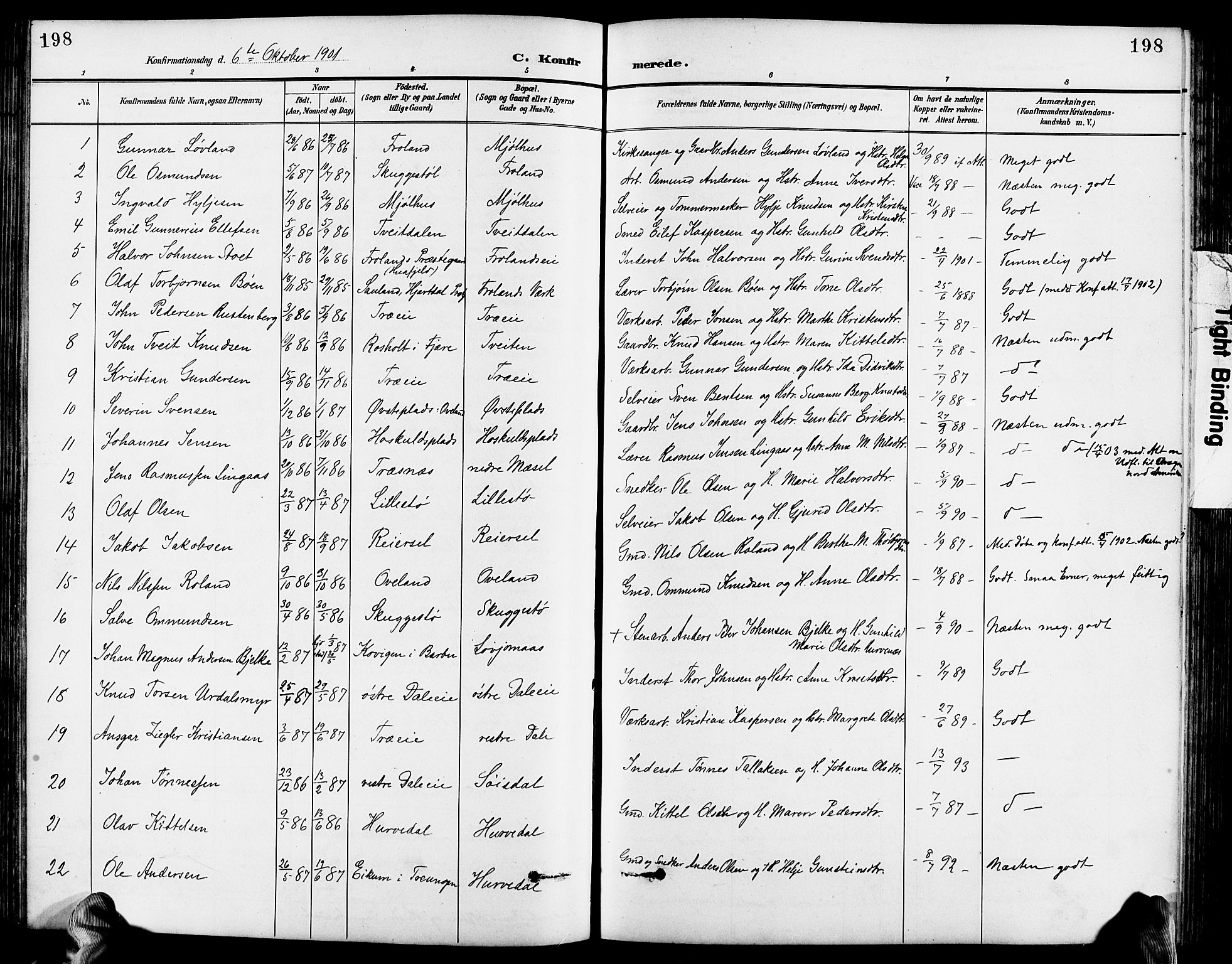Froland sokneprestkontor, SAK/1111-0013/F/Fb/L0010: Parish register (copy) no. B 10, 1893-1920, p. 198