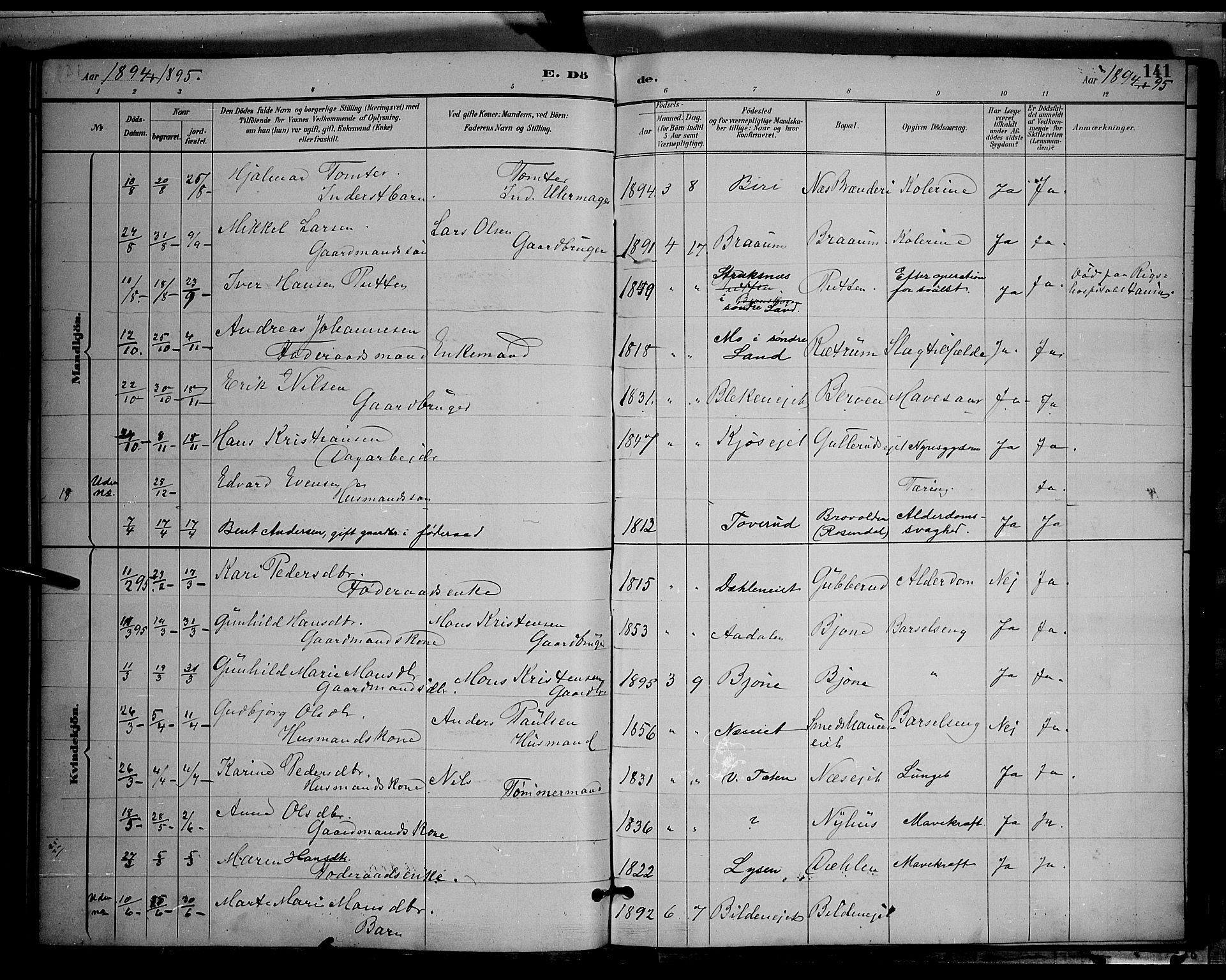 Gran prestekontor, SAH/PREST-112/H/Ha/Hab/L0004: Parish register (copy) no. 4, 1890-1899, p. 141