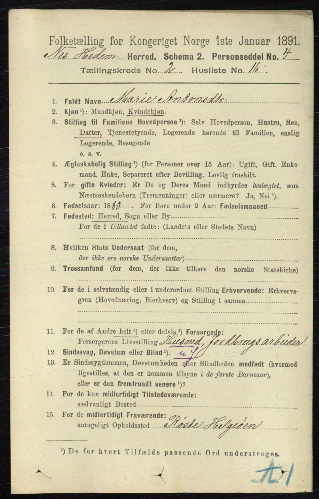 RA, 1891 census for 0411 Nes, 1891, p. 1169