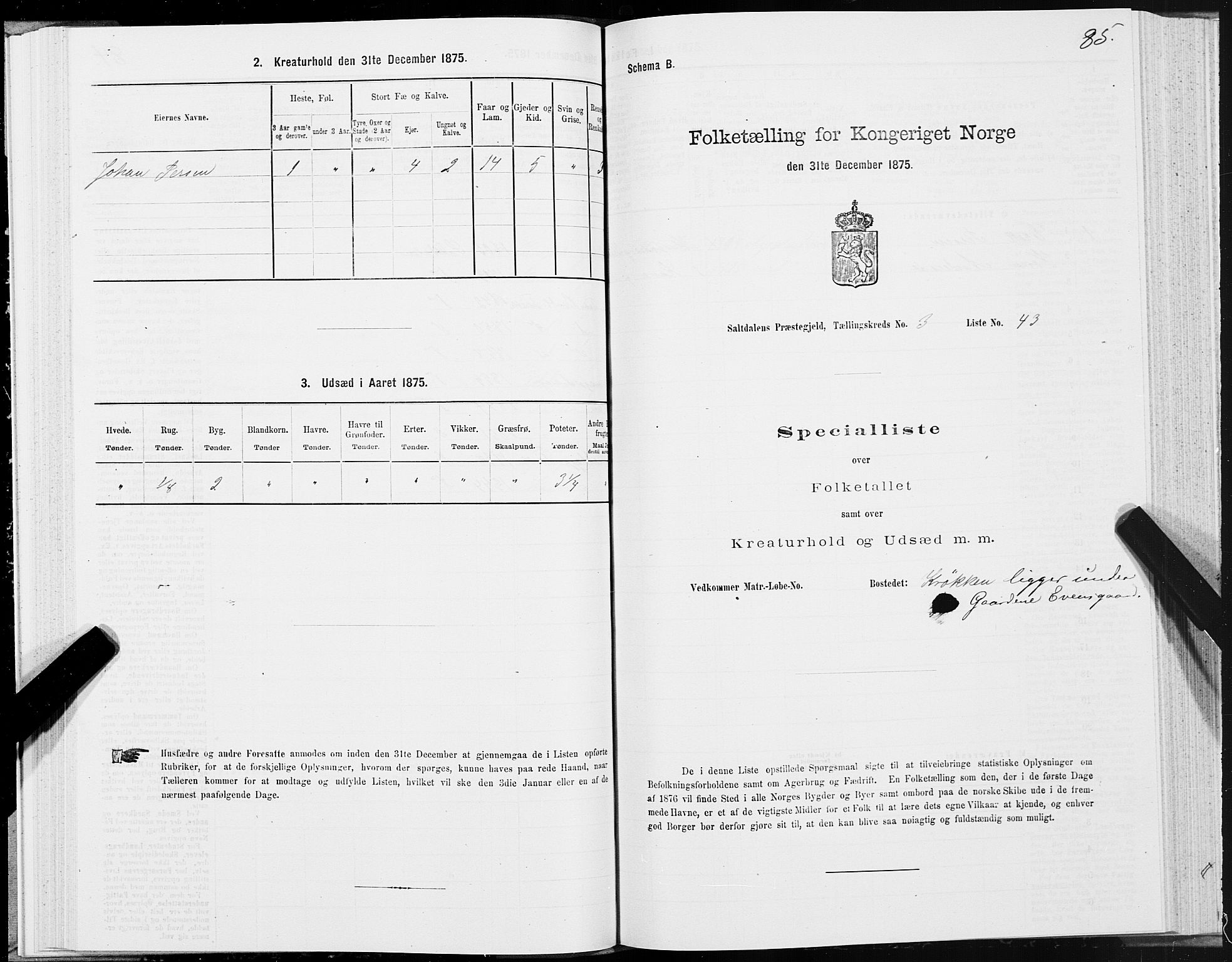 SAT, 1875 census for 1840P Saltdal, 1875, p. 2085