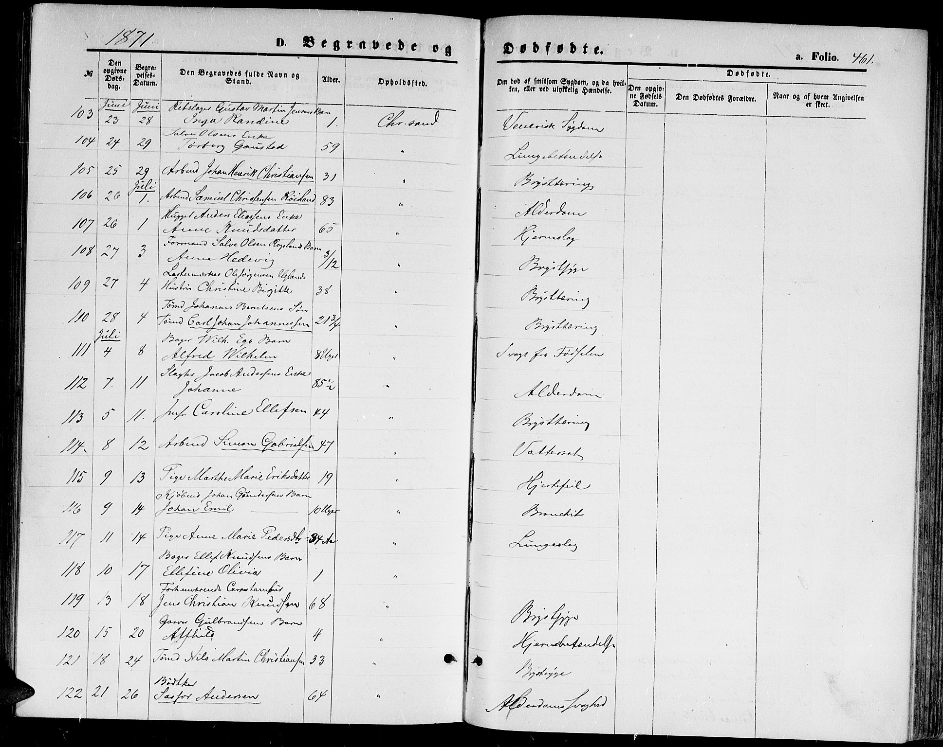 Kristiansand domprosti, AV/SAK-1112-0006/F/Fb/L0013: Parish register (copy) no. B 13, 1871-1880, p. 461