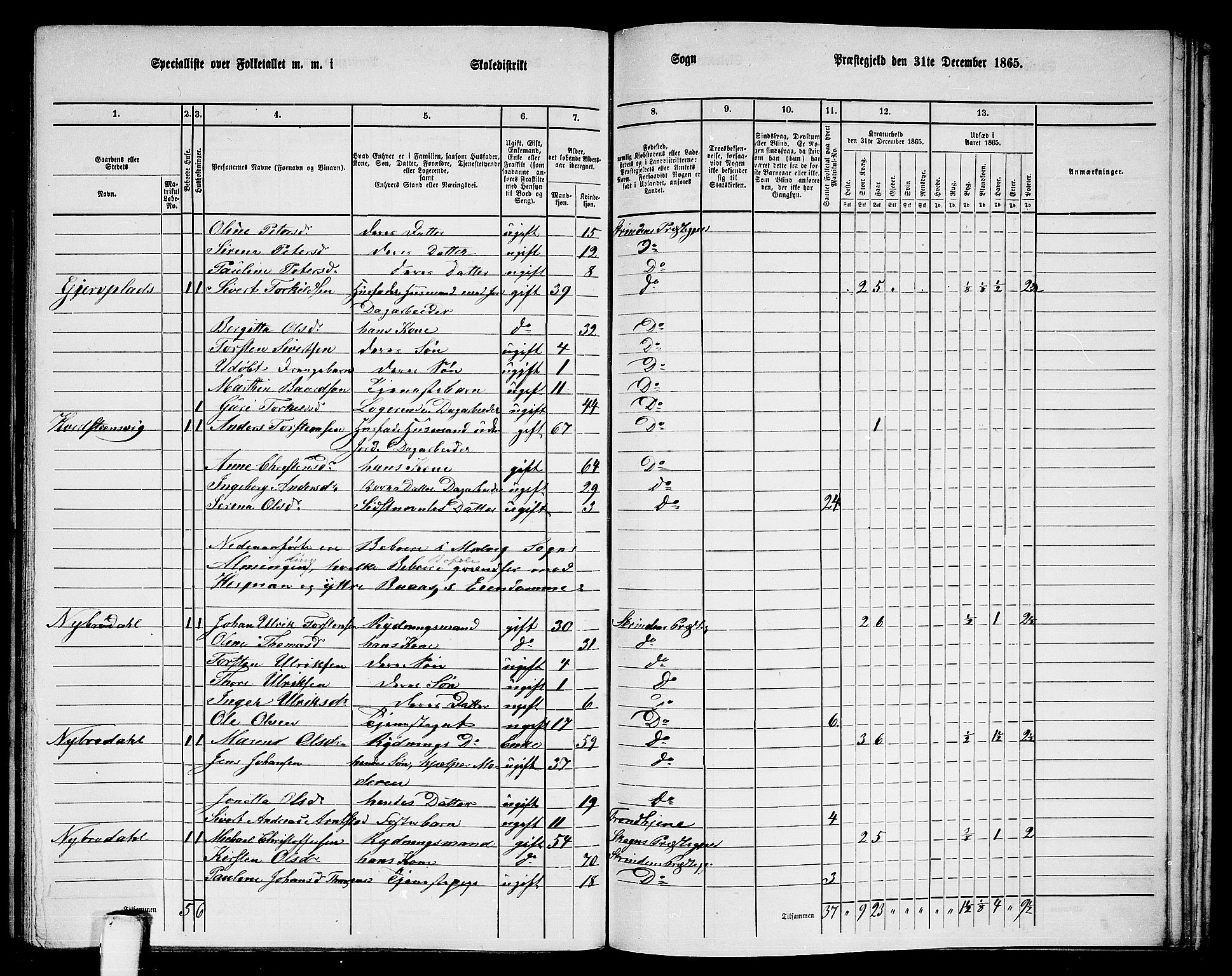 RA, 1865 census for Strinda, 1865, p. 226