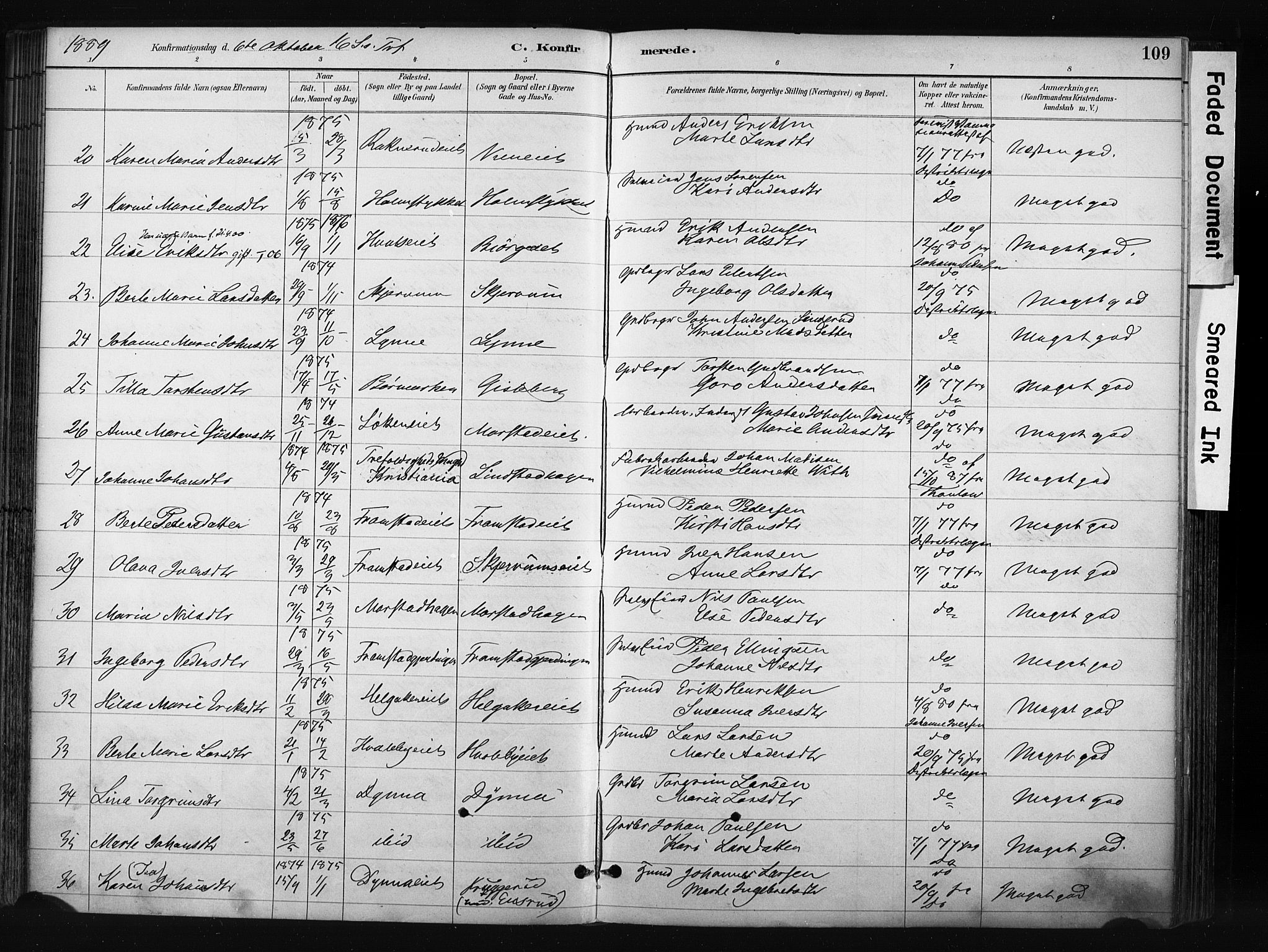 Gran prestekontor, AV/SAH-PREST-112/H/Ha/Haa/L0017: Parish register (official) no. 17, 1889-1897, p. 109