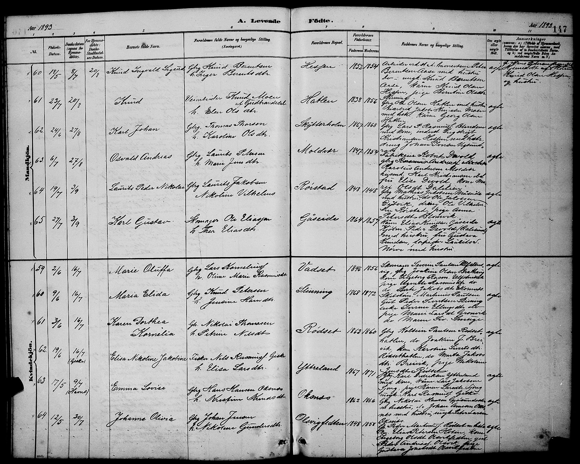 Ministerialprotokoller, klokkerbøker og fødselsregistre - Møre og Romsdal, AV/SAT-A-1454/528/L0431: Parish register (copy) no. 528C12, 1885-1898, p. 147