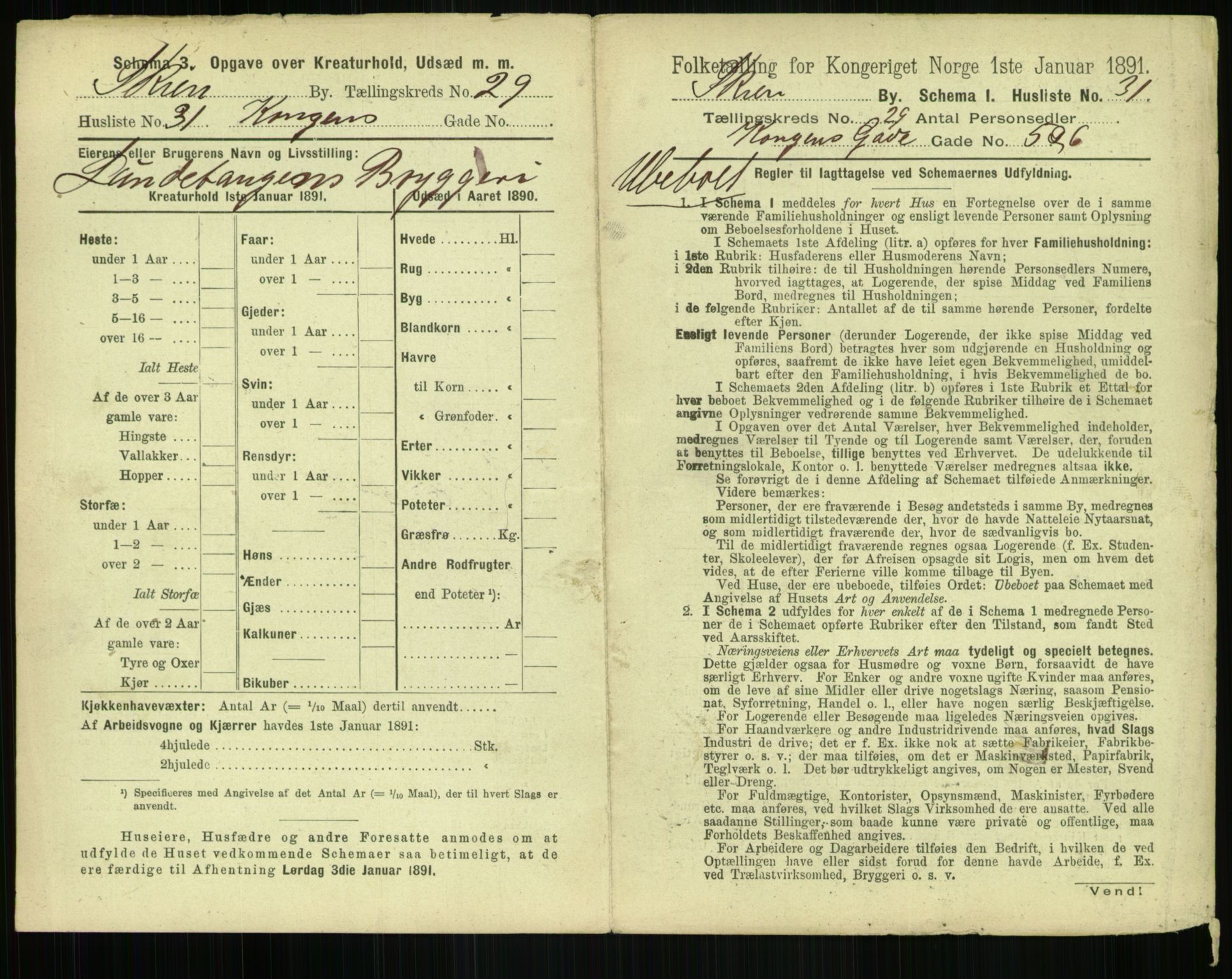 RA, 1891 census for 0806 Skien, 1891, p. 1126