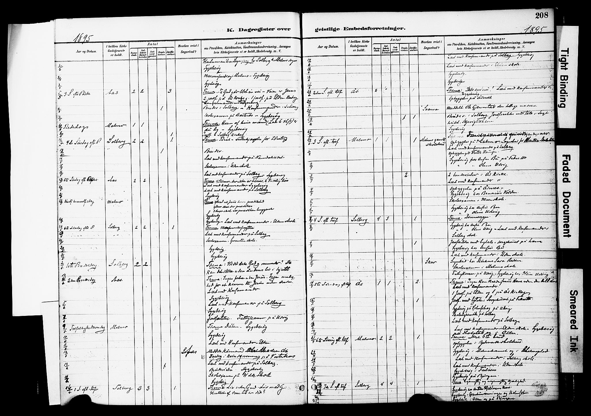 Ministerialprotokoller, klokkerbøker og fødselsregistre - Nord-Trøndelag, AV/SAT-A-1458/741/L0396: Parish register (official) no. 741A10, 1889-1901, p. 208