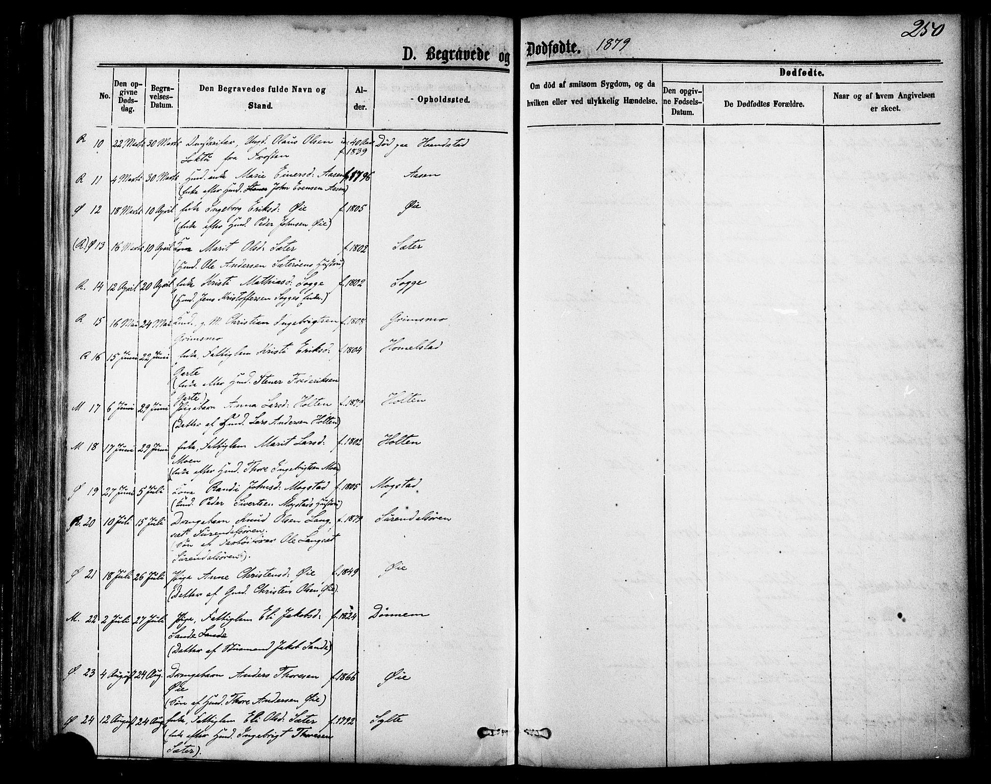 Ministerialprotokoller, klokkerbøker og fødselsregistre - Møre og Romsdal, AV/SAT-A-1454/595/L1046: Parish register (official) no. 595A08, 1874-1884, p. 250