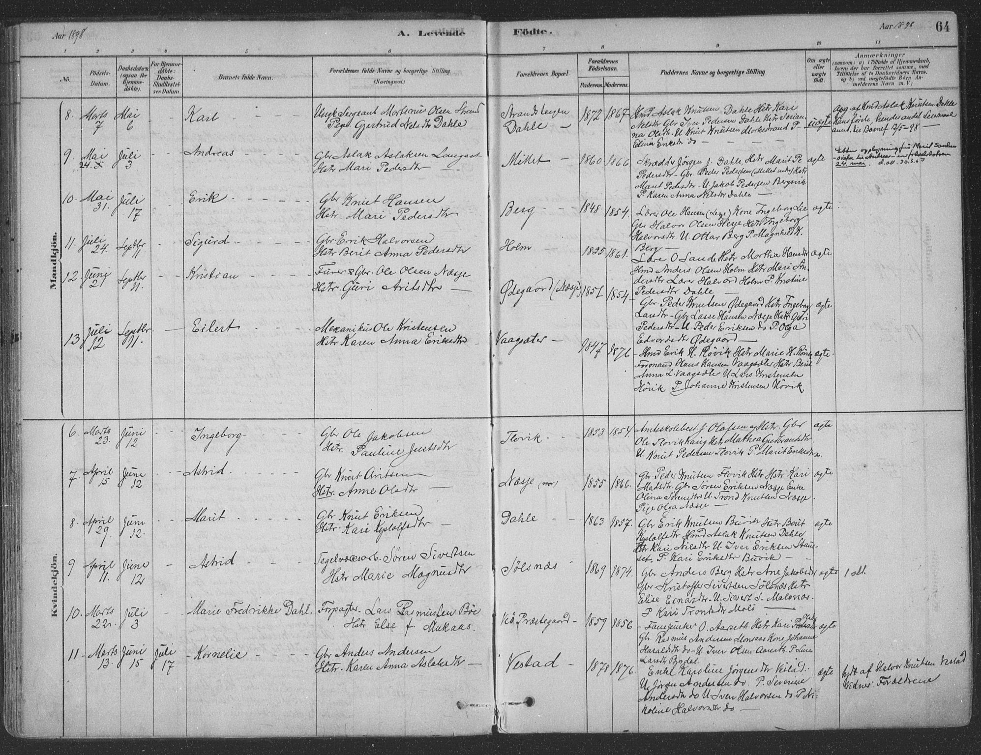 Ministerialprotokoller, klokkerbøker og fødselsregistre - Møre og Romsdal, AV/SAT-A-1454/547/L0604: Parish register (official) no. 547A06, 1878-1906, p. 64