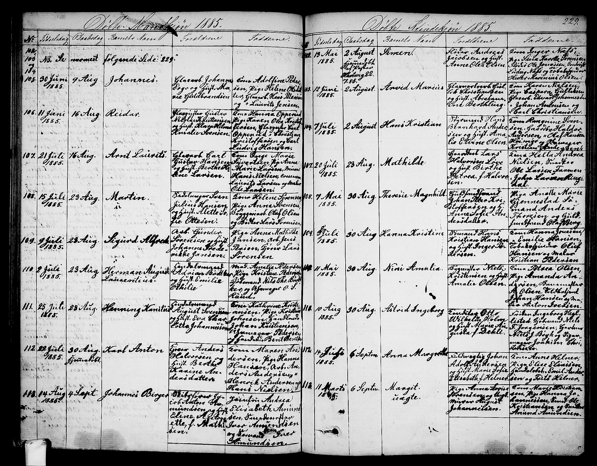 Larvik kirkebøker, AV/SAKO-A-352/G/Ga/L0004: Parish register (copy) no. I 4, 1871-1888, p. 229