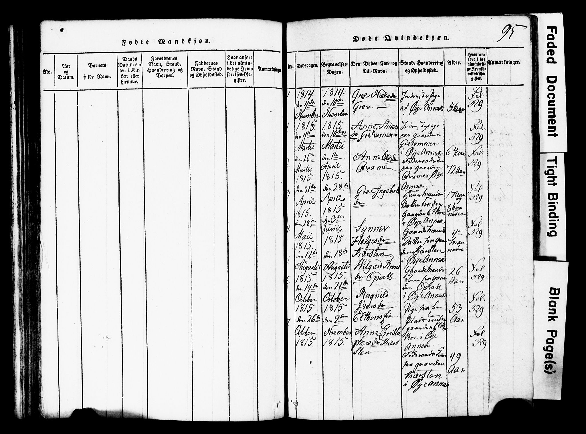 Vang prestekontor, Valdres, AV/SAH-PREST-140/H/Hb/L0001: Parish register (copy) no. 1, 1814-1820, p. 95