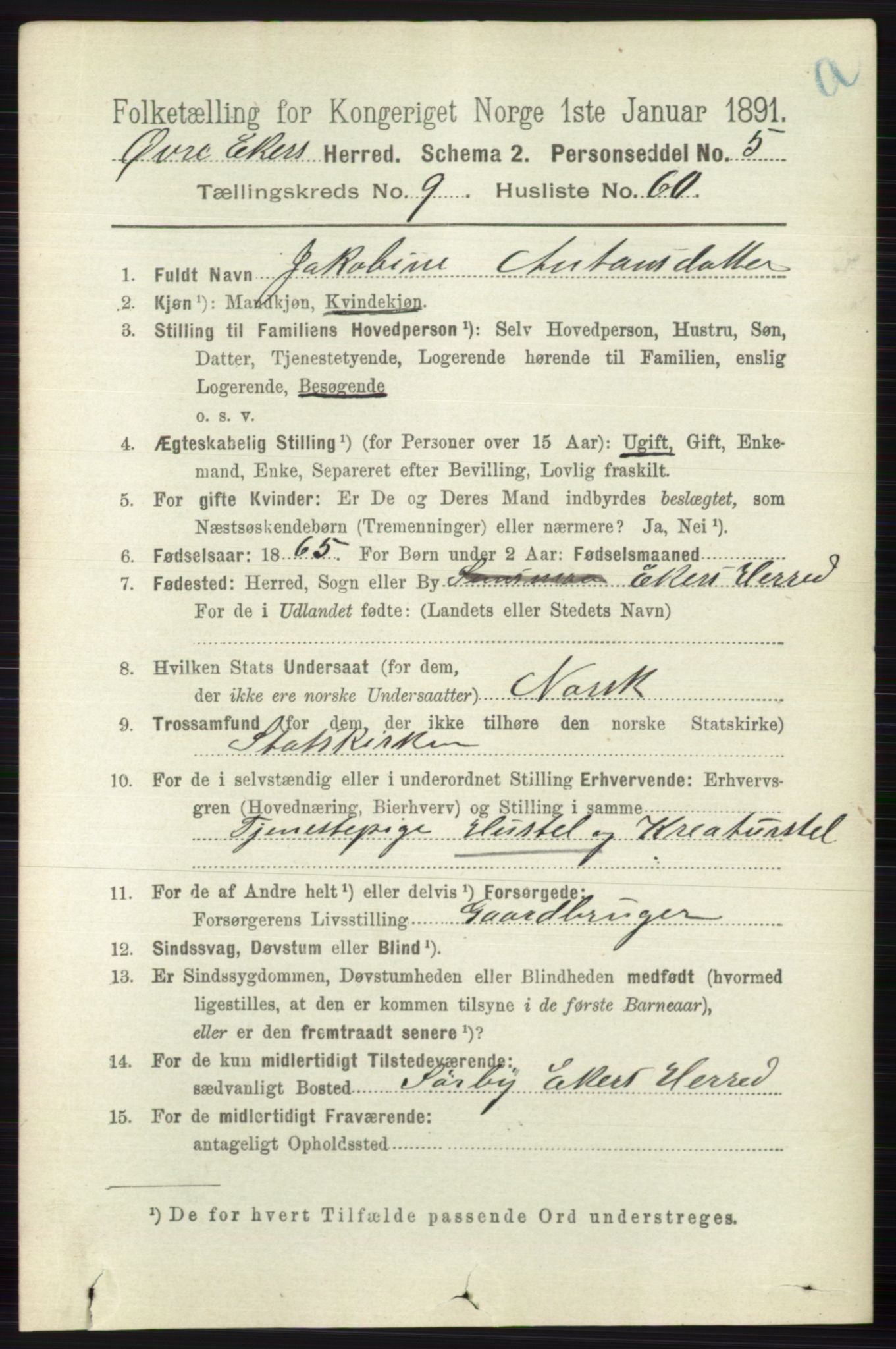 RA, 1891 census for 0624 Øvre Eiker, 1891, p. 3957