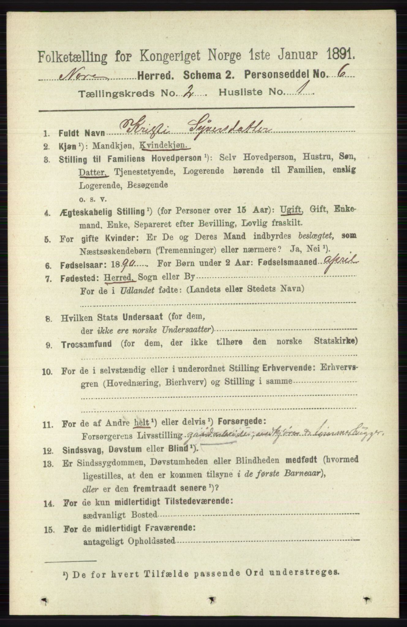 RA, 1891 census for 0633 Nore, 1891, p. 256