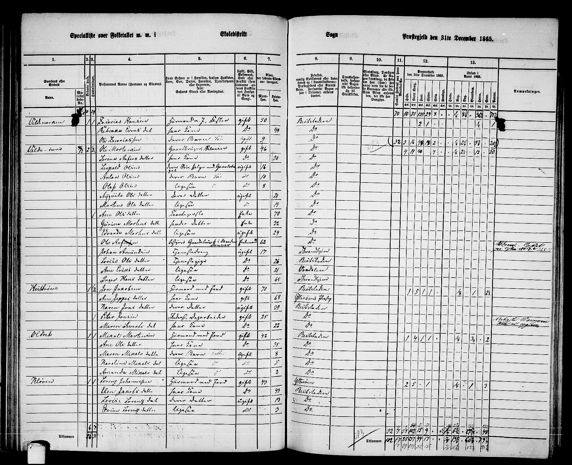 RA, 1865 census for Beitstad, 1865, p. 79