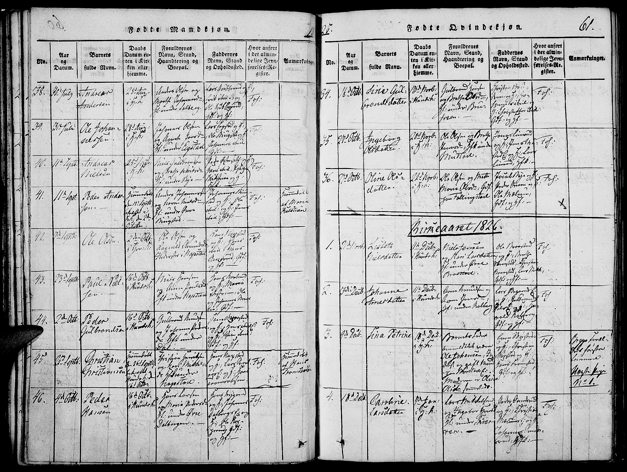 Vardal prestekontor, SAH/PREST-100/H/Ha/Haa/L0004: Parish register (official) no. 4, 1814-1831, p. 61